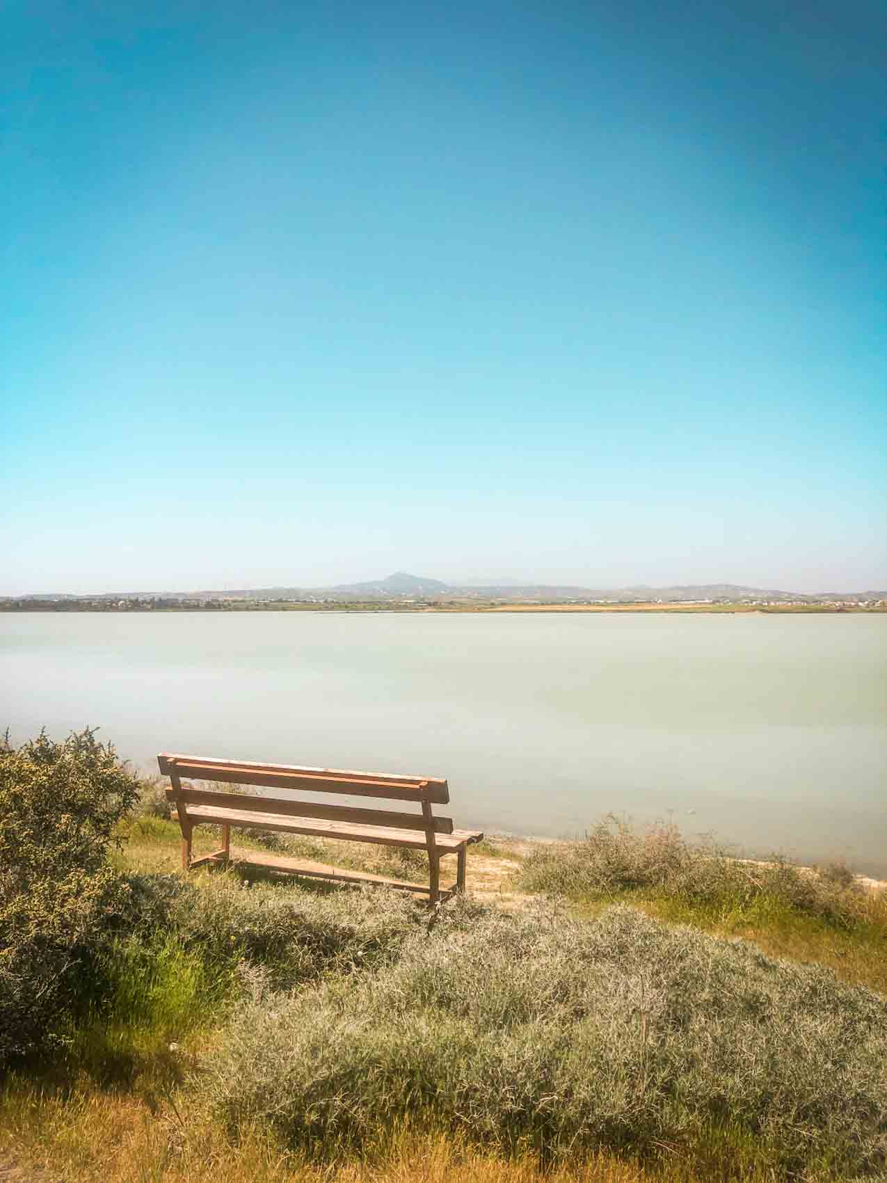 Larnaca Salt lake Cyprus