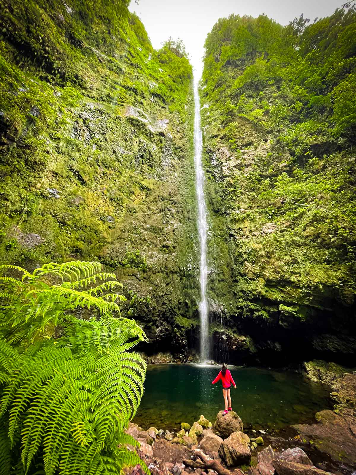 Caldeirao Verde waterfall Madeira