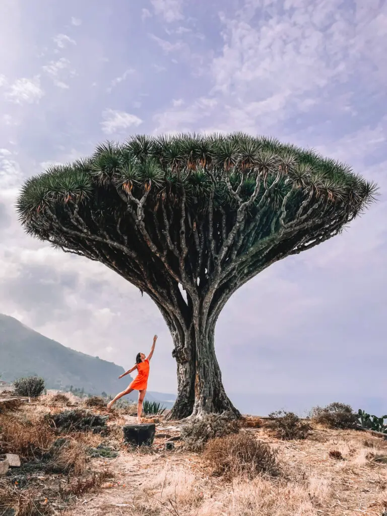 19 most famous Instagram spots for the best photos of Tenerife