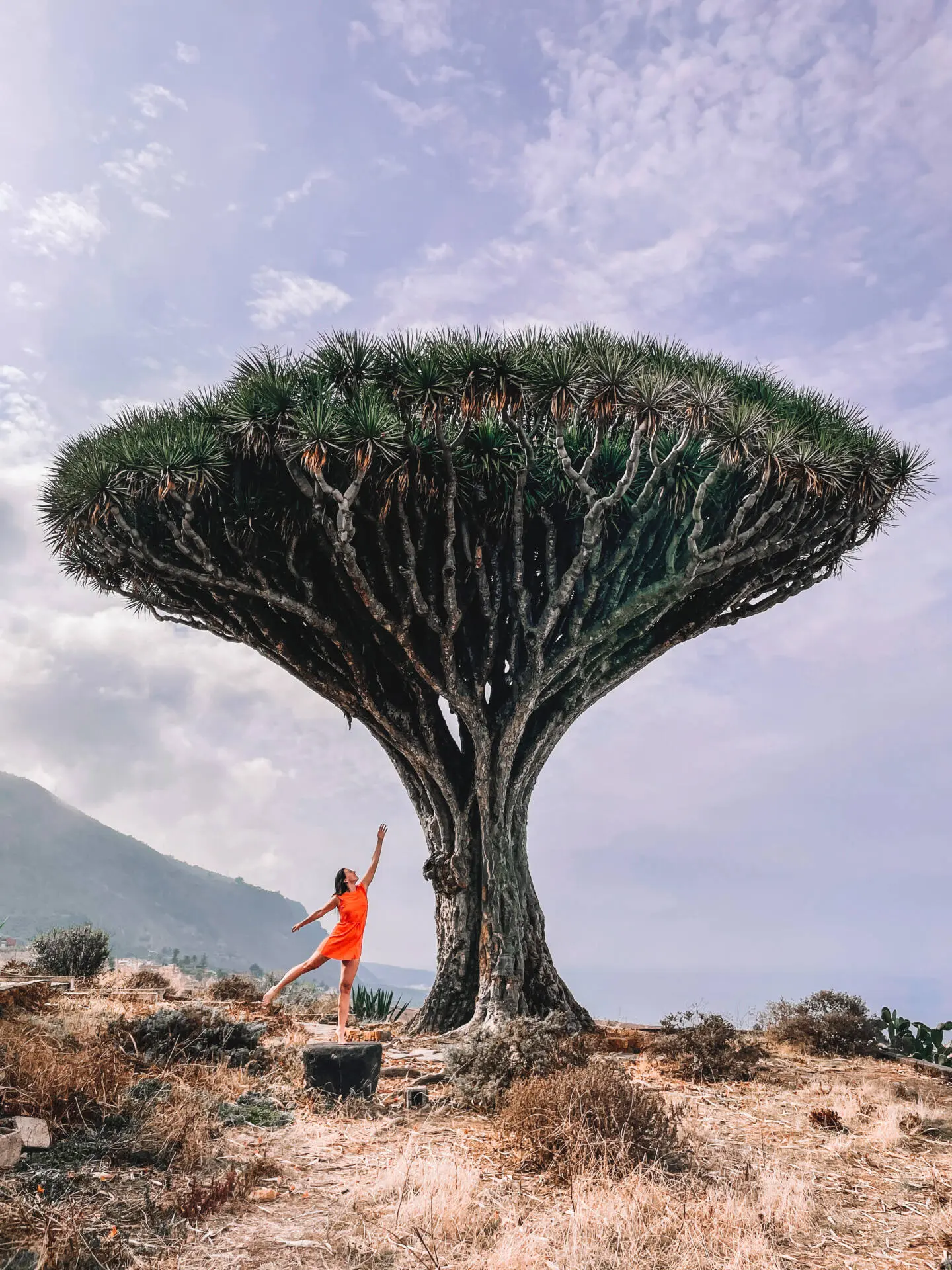 19 most famous Instagram spots in Tenerife