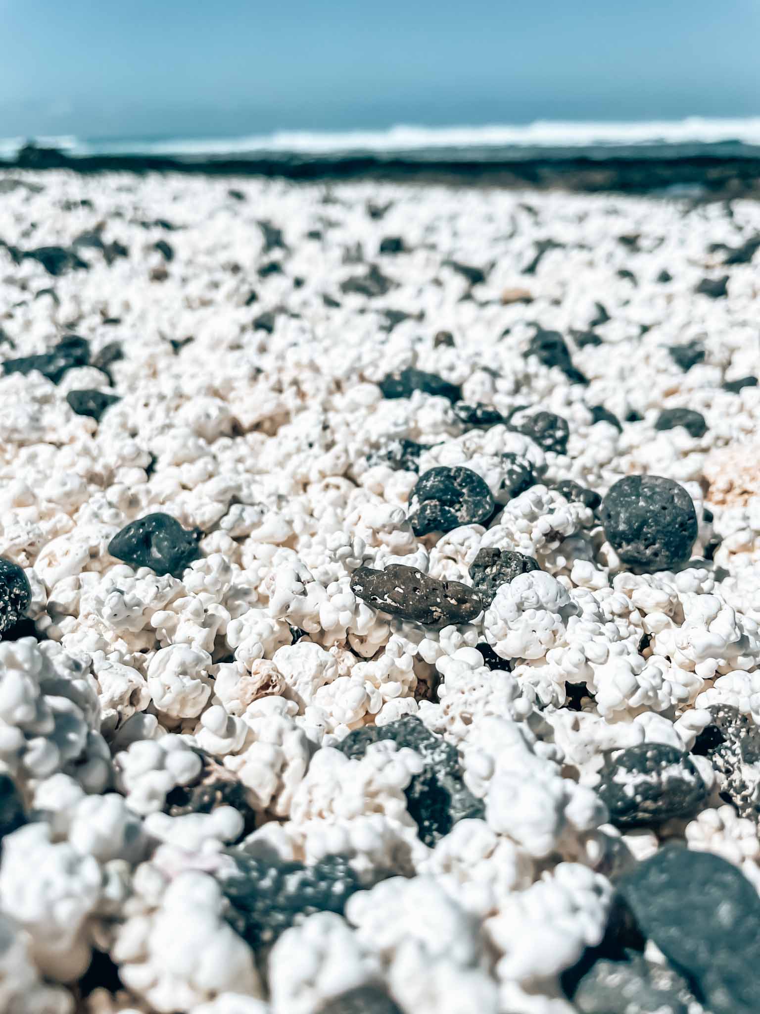 Popcorn beach Furteventura