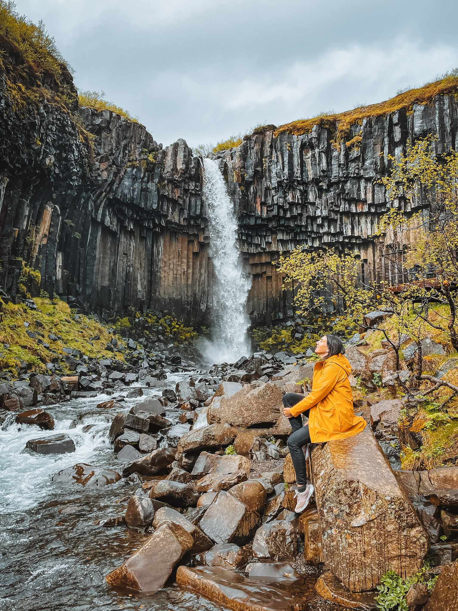 Basalt columns in Iceland - Svartifoss waterfall