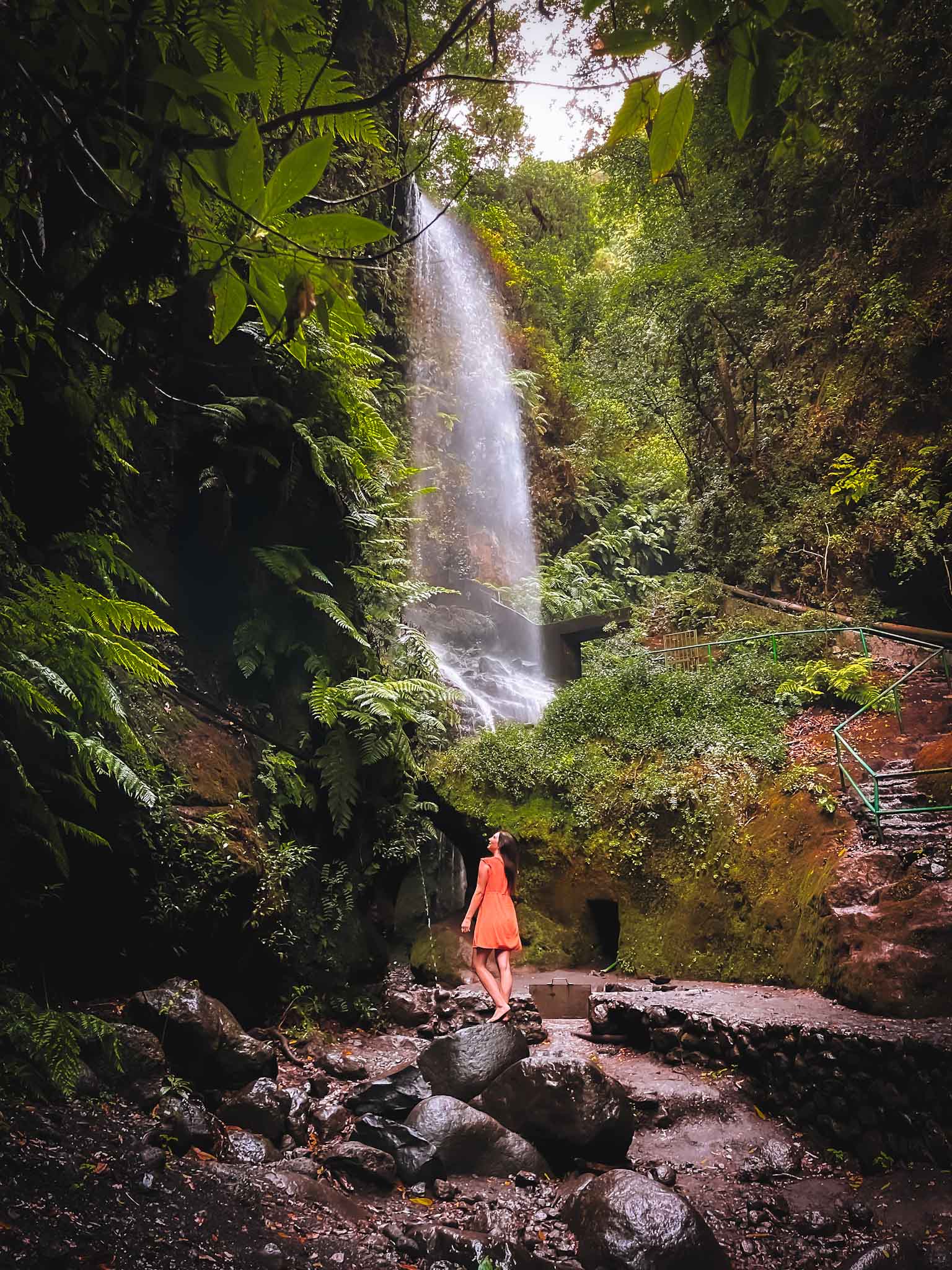 Best hiking trails in La Palma - Cascada De Los Tilos waterfall