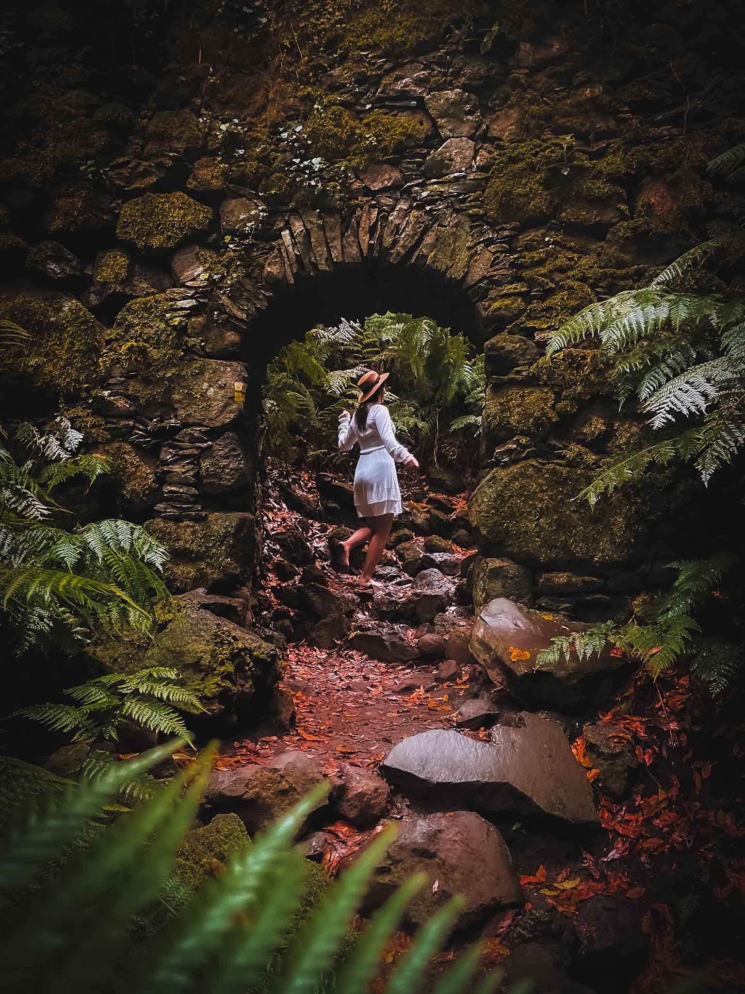 Best hiking trails in La Palma - Cubo de La Galga