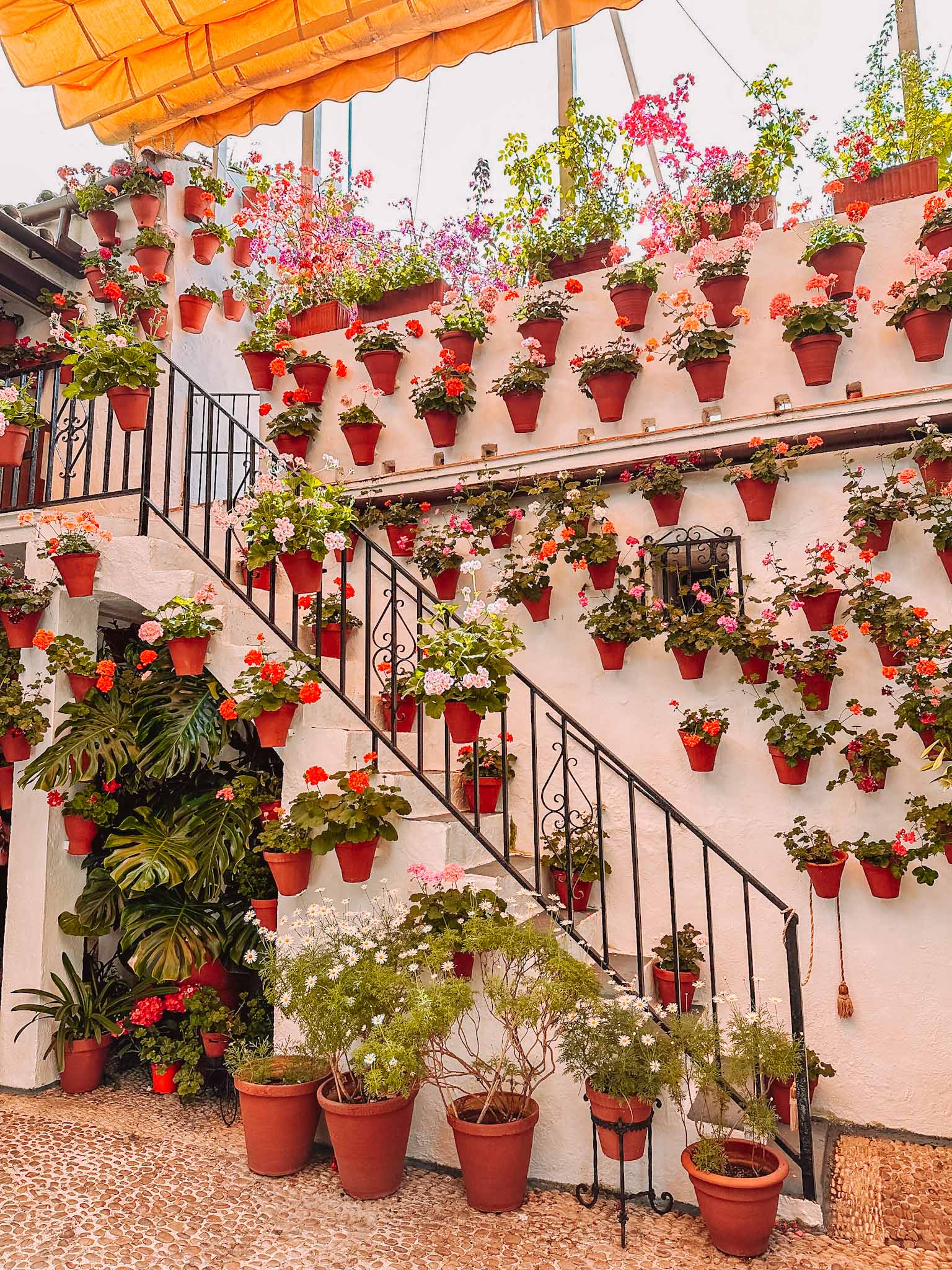 Ruta de los Patios de Cordoba - best Instagram spots of flower patios in Cordoba, Spain