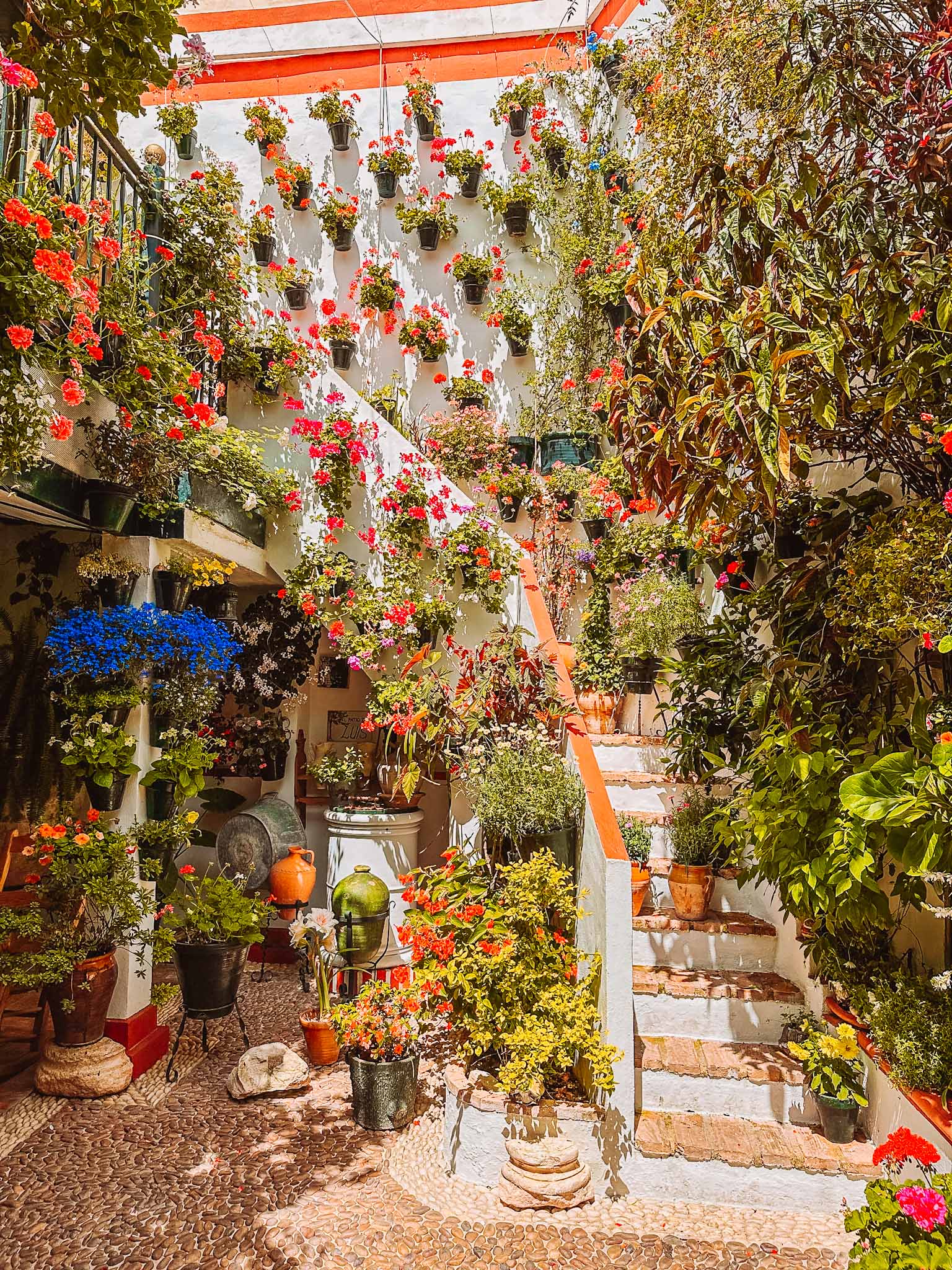 Ruta de los Patios de Cordoba - best Instagram spots of flower patios in Cordoba, Spain