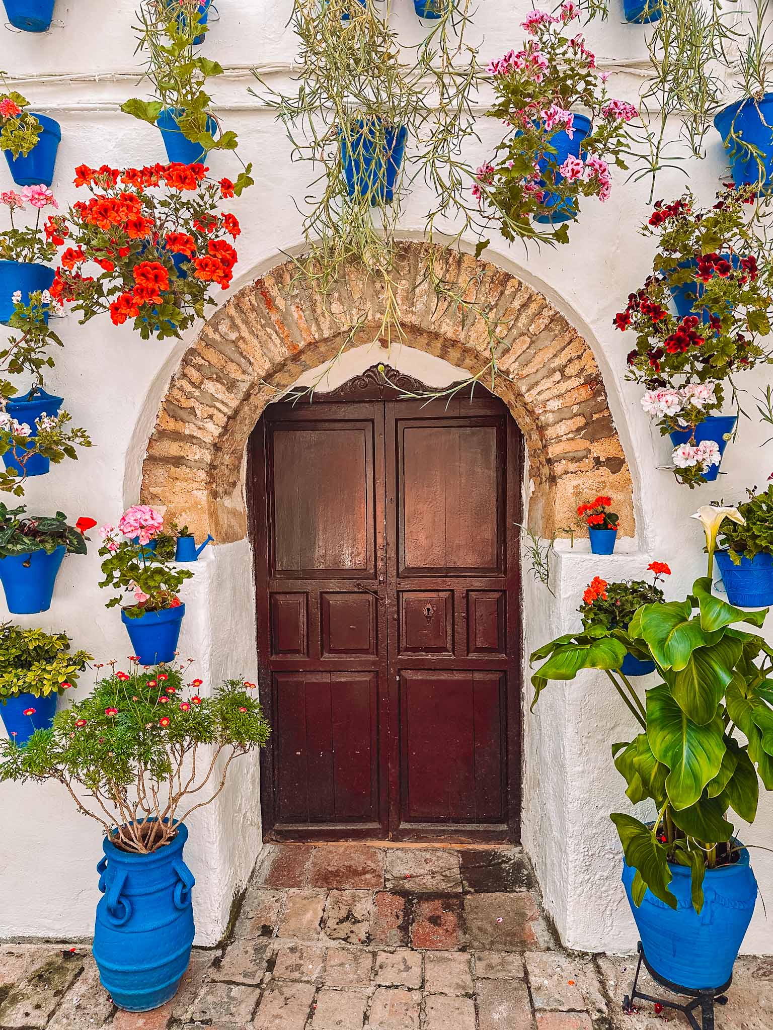 Ruta de los Patios de Cordoba - best Instagram spots of flower patios in Cordoba, Spain