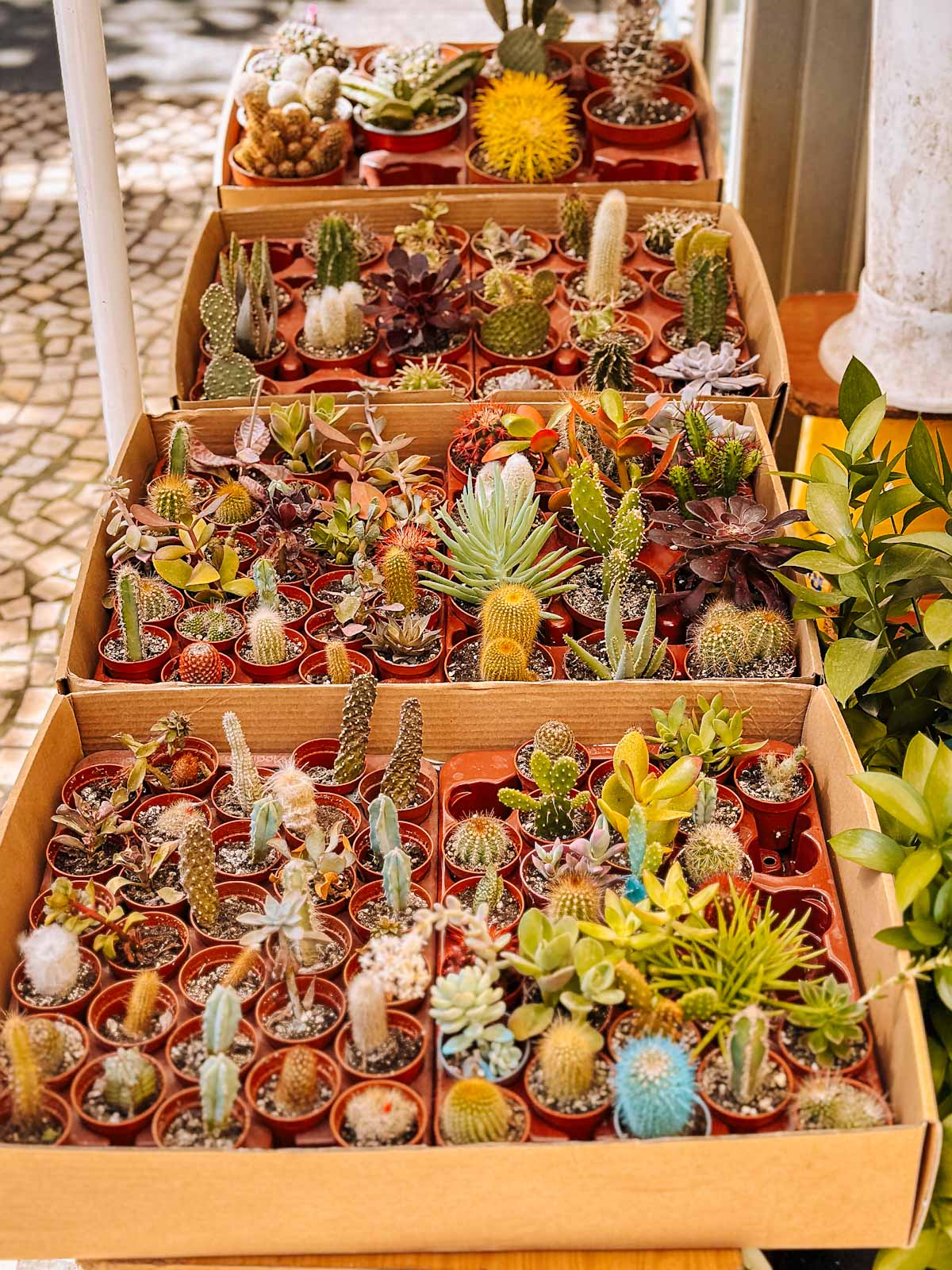 Hidden gems in Cadiz, Spain - Mercado Central de Cadiz