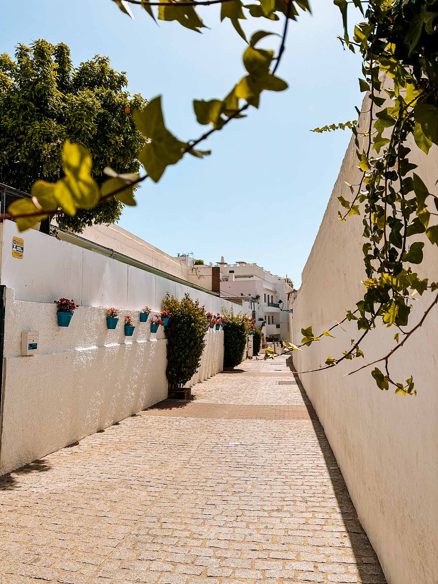 Most beautiful streets in Marbella, Spain - Calle Escuela