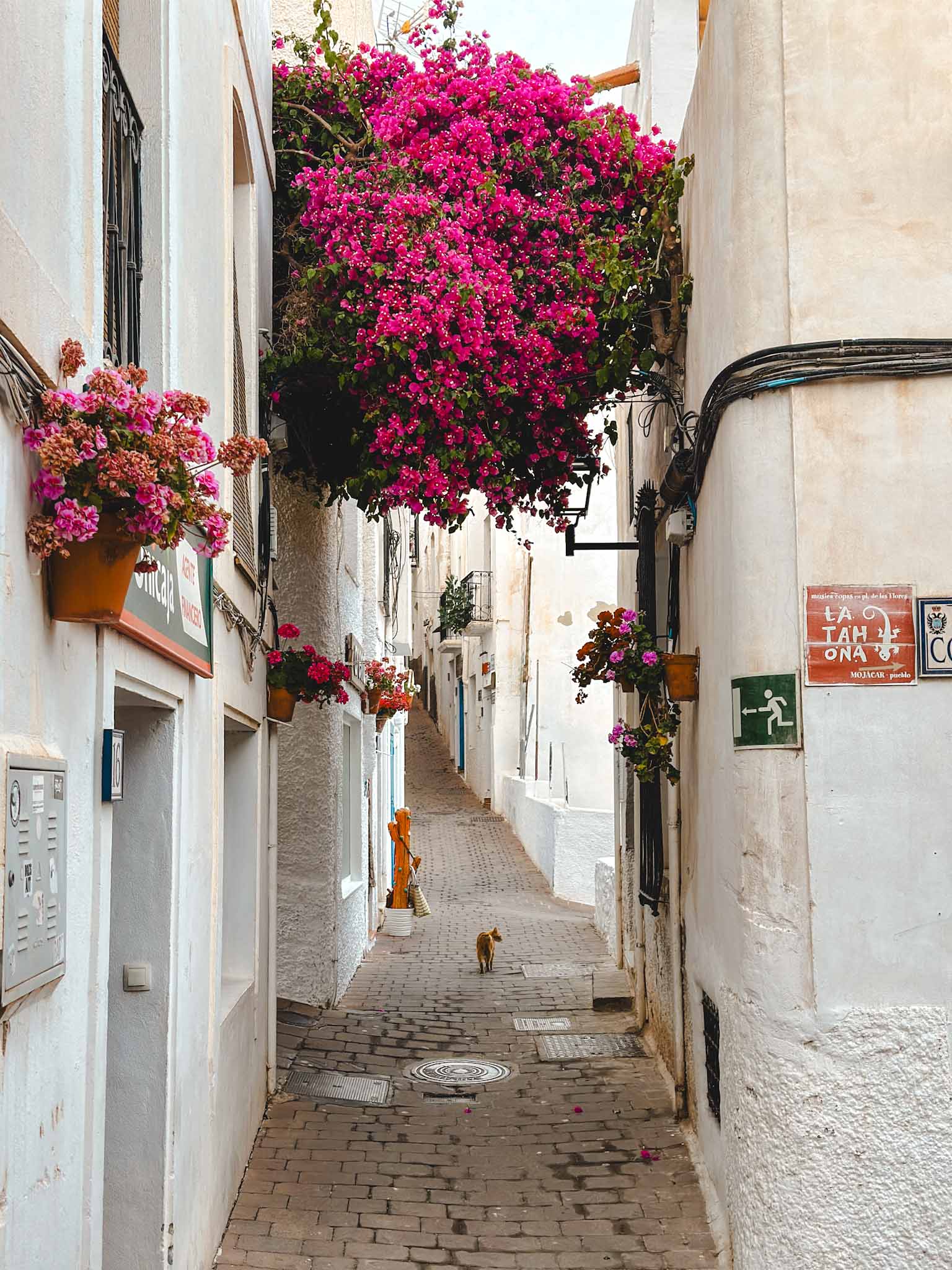 Most beautiful whitewashed villages and unique towns in Andalusia, Spain - Mojácar