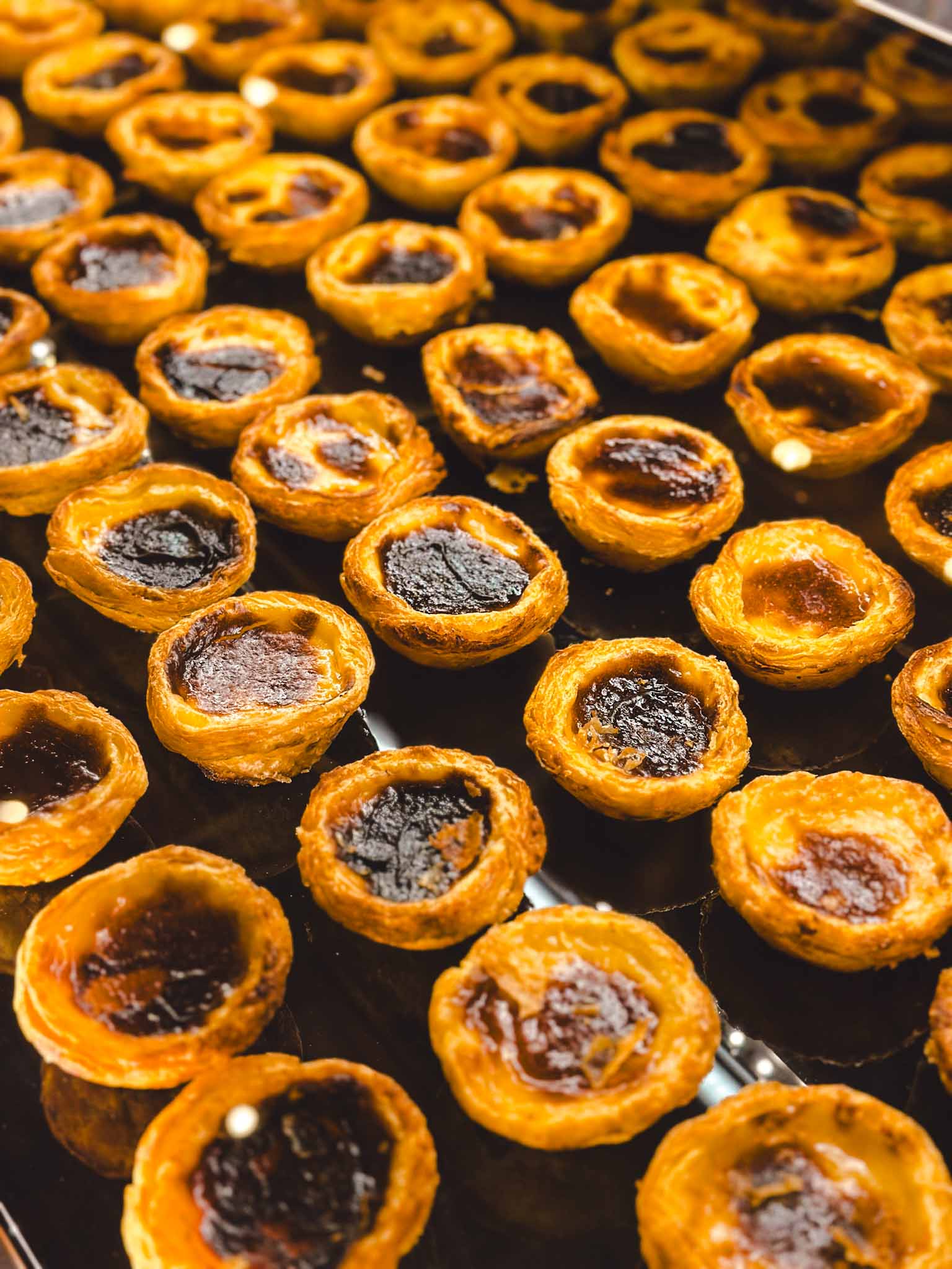 A Brasileira - best pastel de nata in Lisbon, Portugal