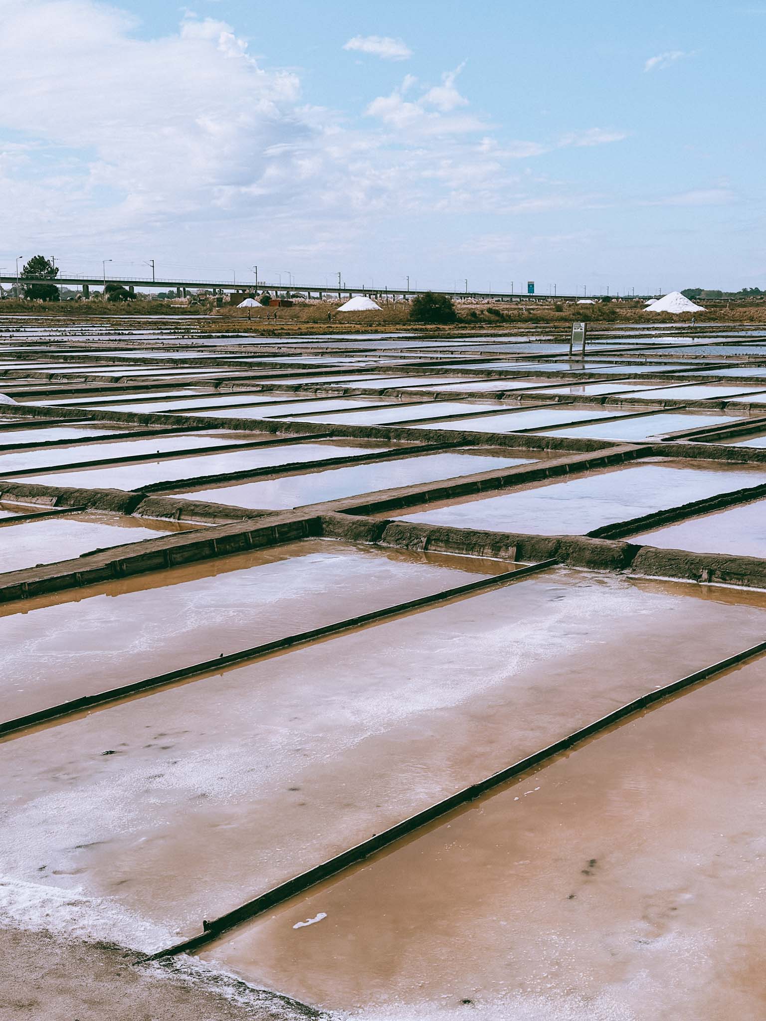 Best things to do in Aveiro, Portugal - Salinas de Aveiro salt fields