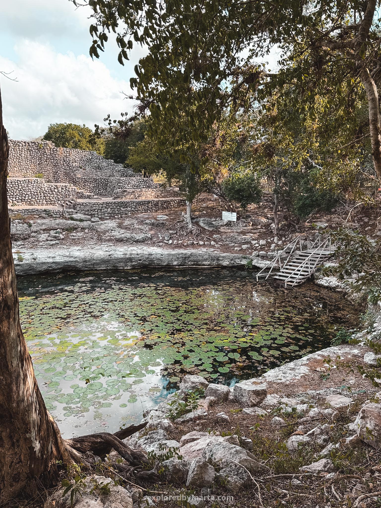Yucatan peninsula, Mexico - Mayan pyramids and Mayan ruins near Merida - Dzibilchaltun archaeological zone