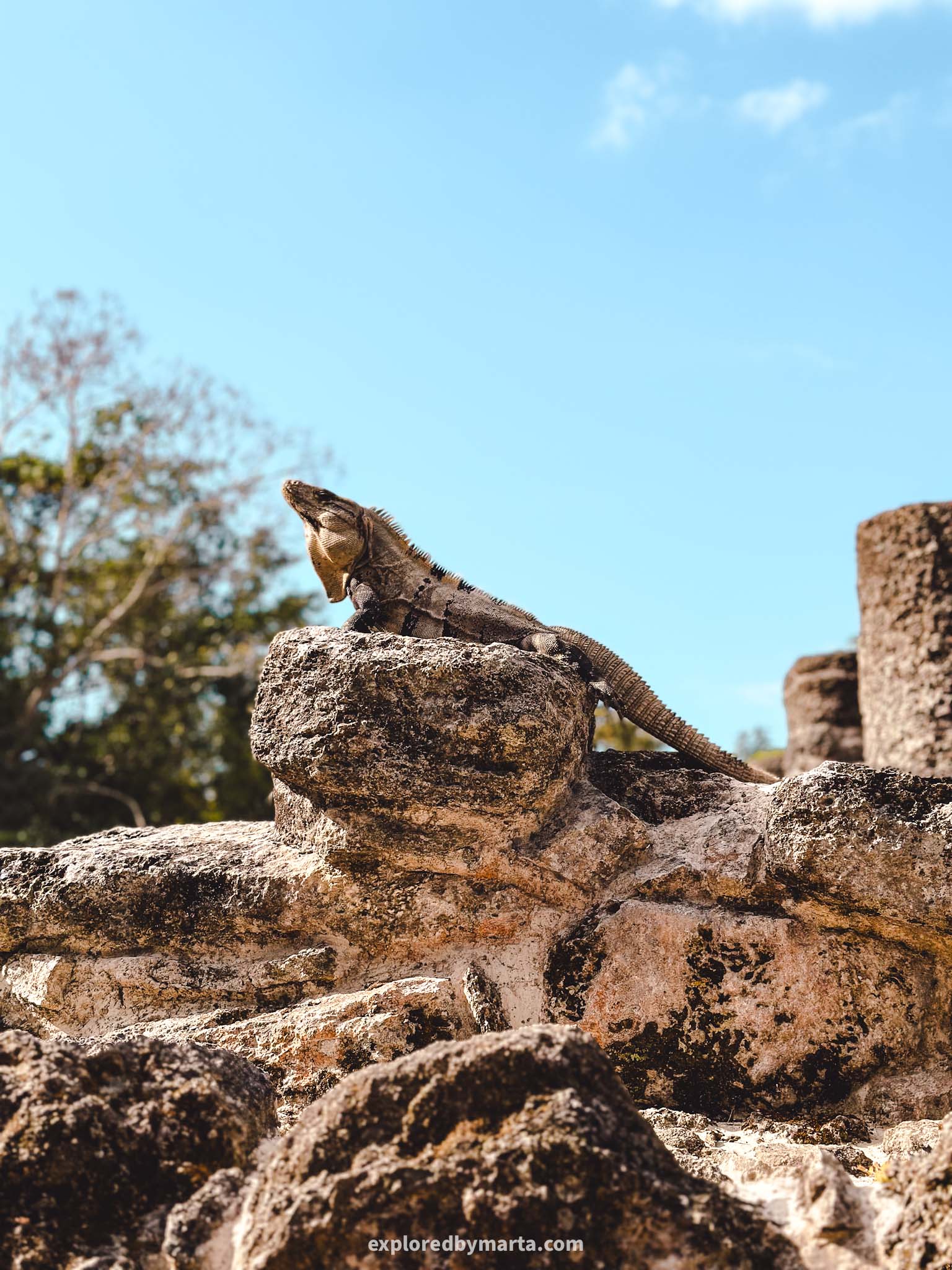 Cozumel, Quintana Roo, Mexico - San Gervasio Archaeological Zone