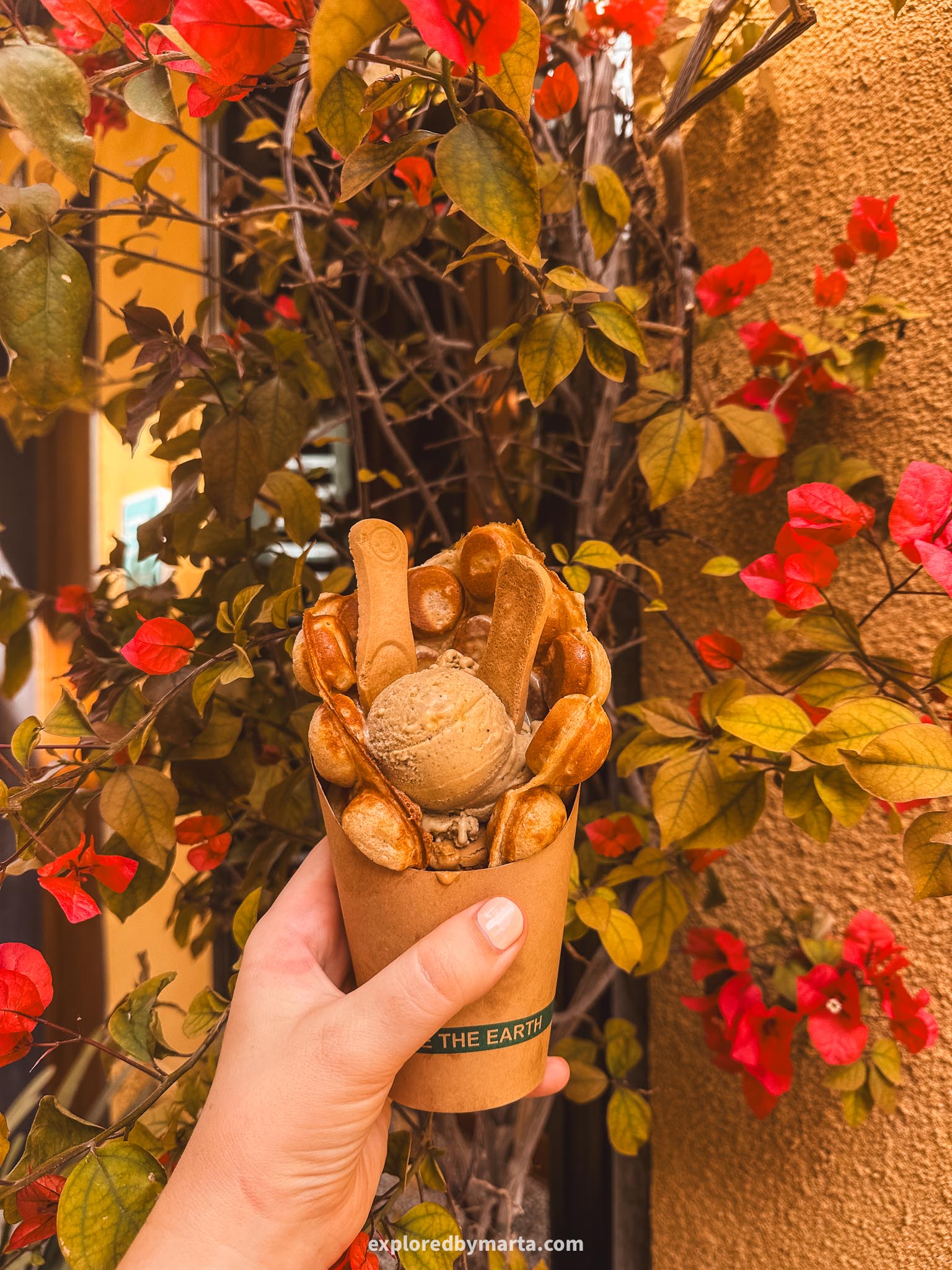 Alcudia Old Town, Mallorca, Spain-Helados Ecologicos Xibiu