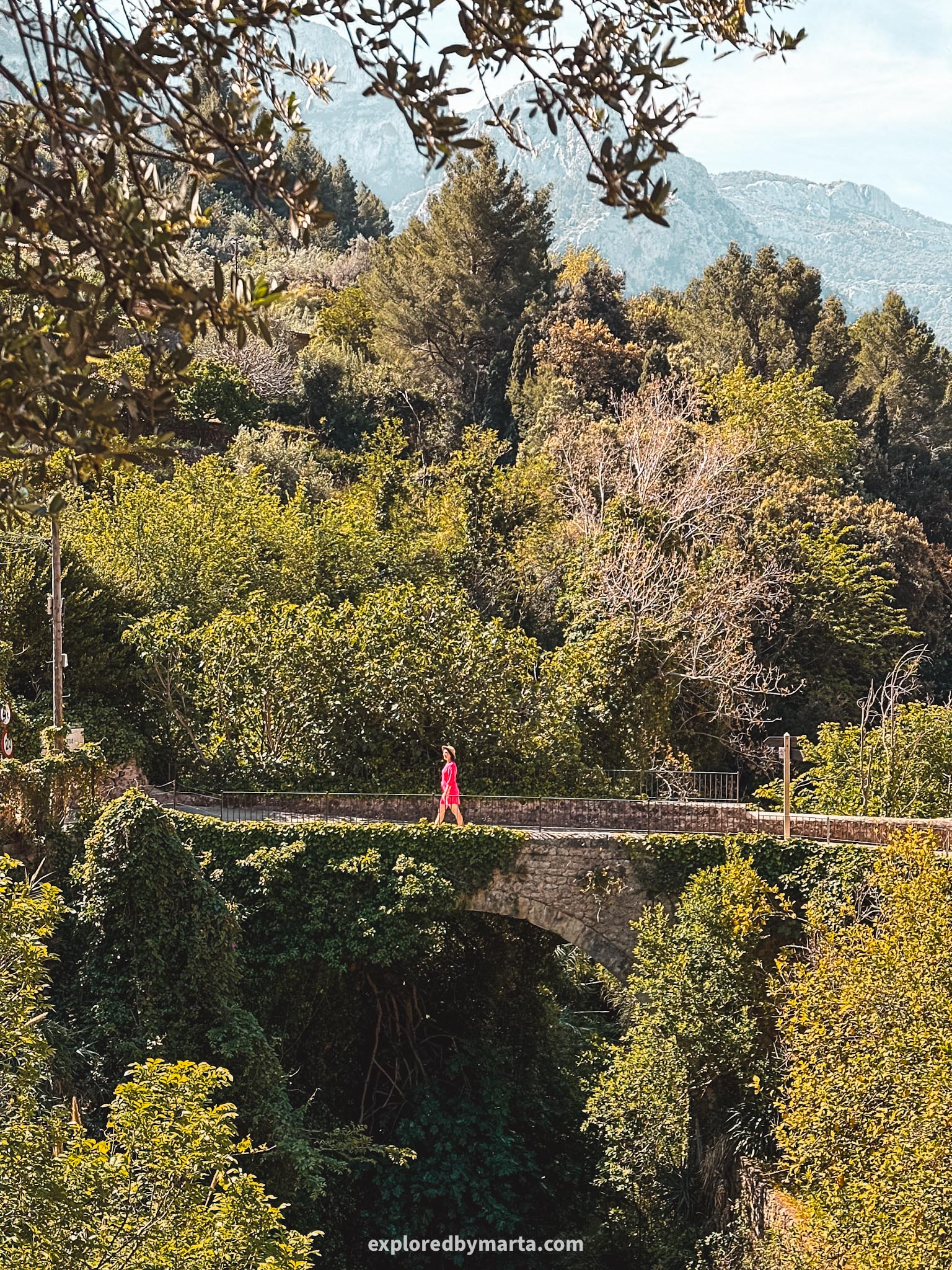 Fornalutx, Mallorca, Spain-Fornalutx citrus tree viewpoint