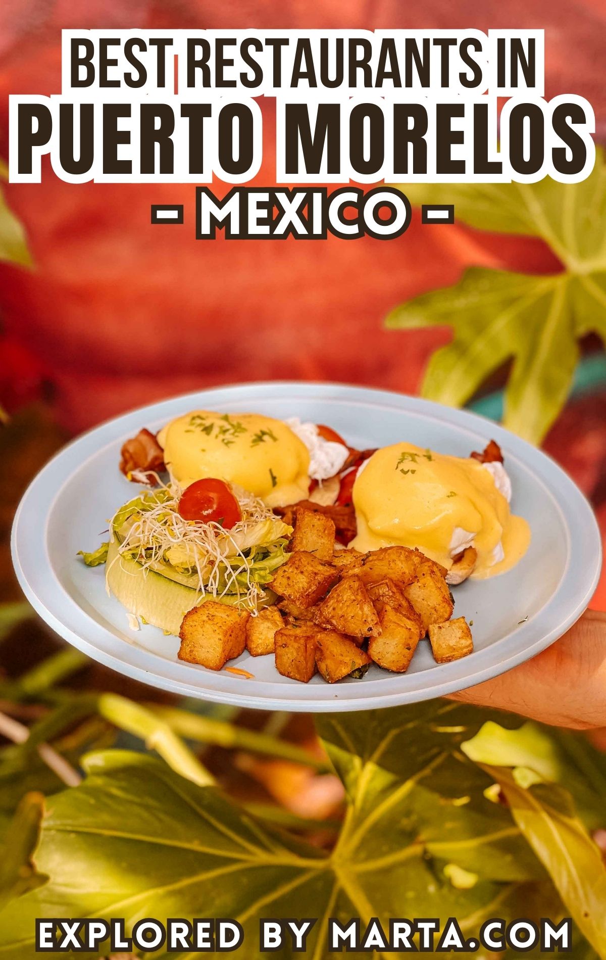 Top restaurants in Puerto Morelos, Mexico