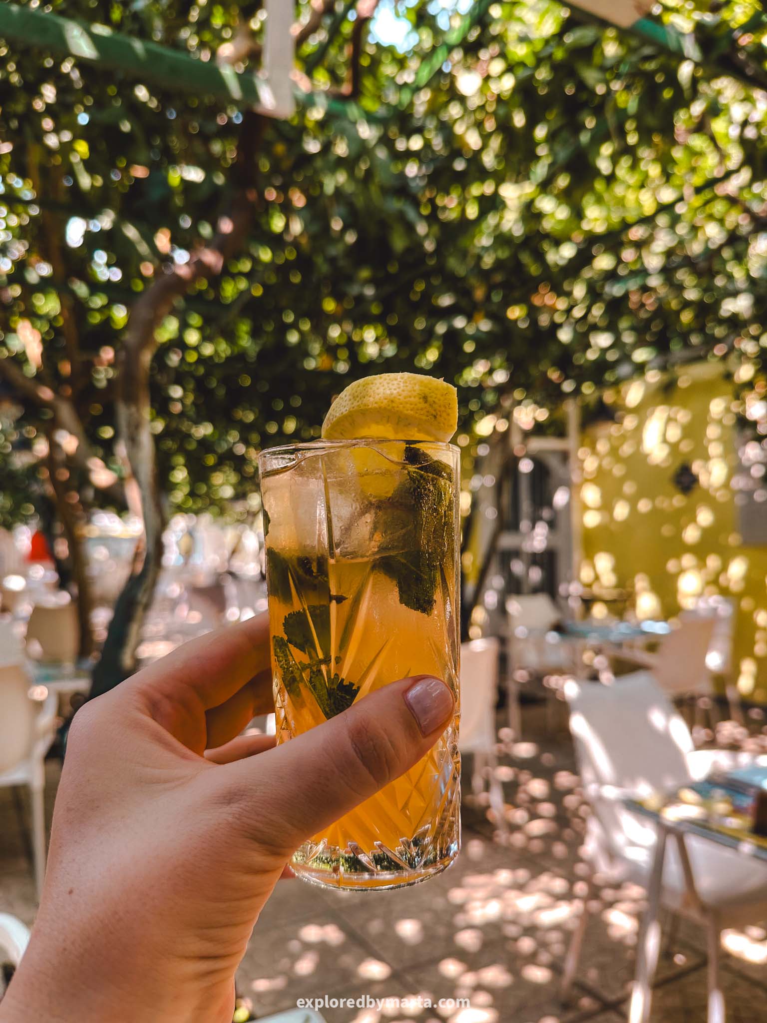 Maiori, Italy-Ristorante Pineta in Maiori with a courtyard covered by lemon trees