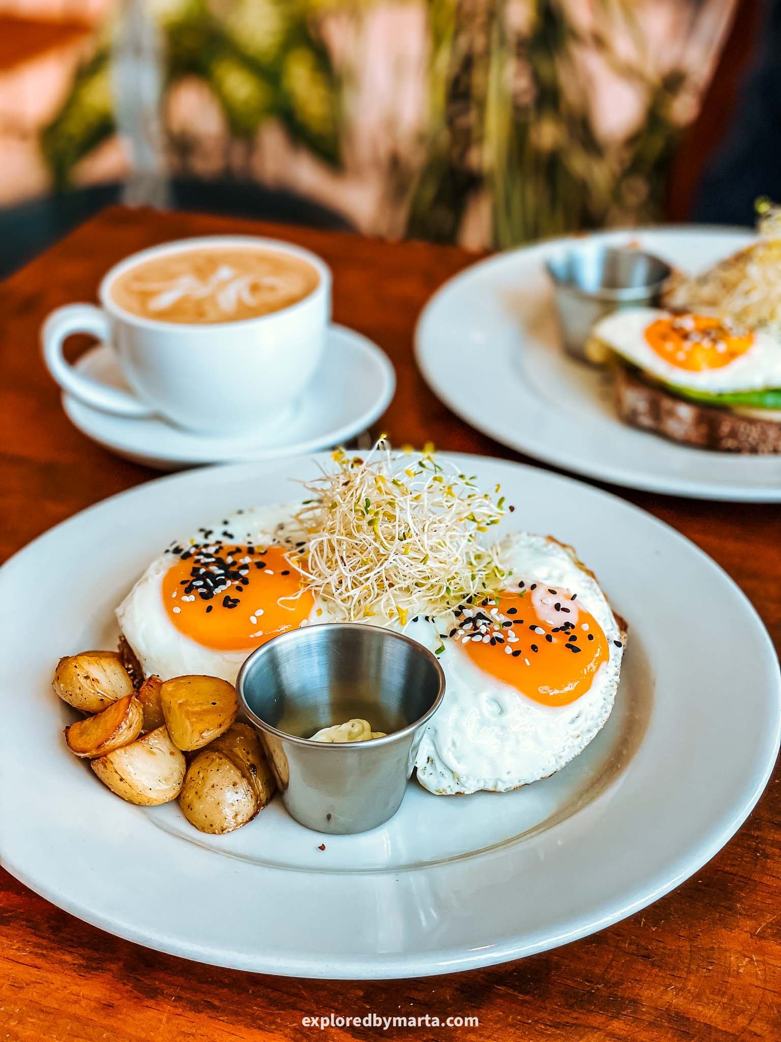 Coffee shops in Playa del Carmen, Mexico-Quadra Café – Specialty Coffee