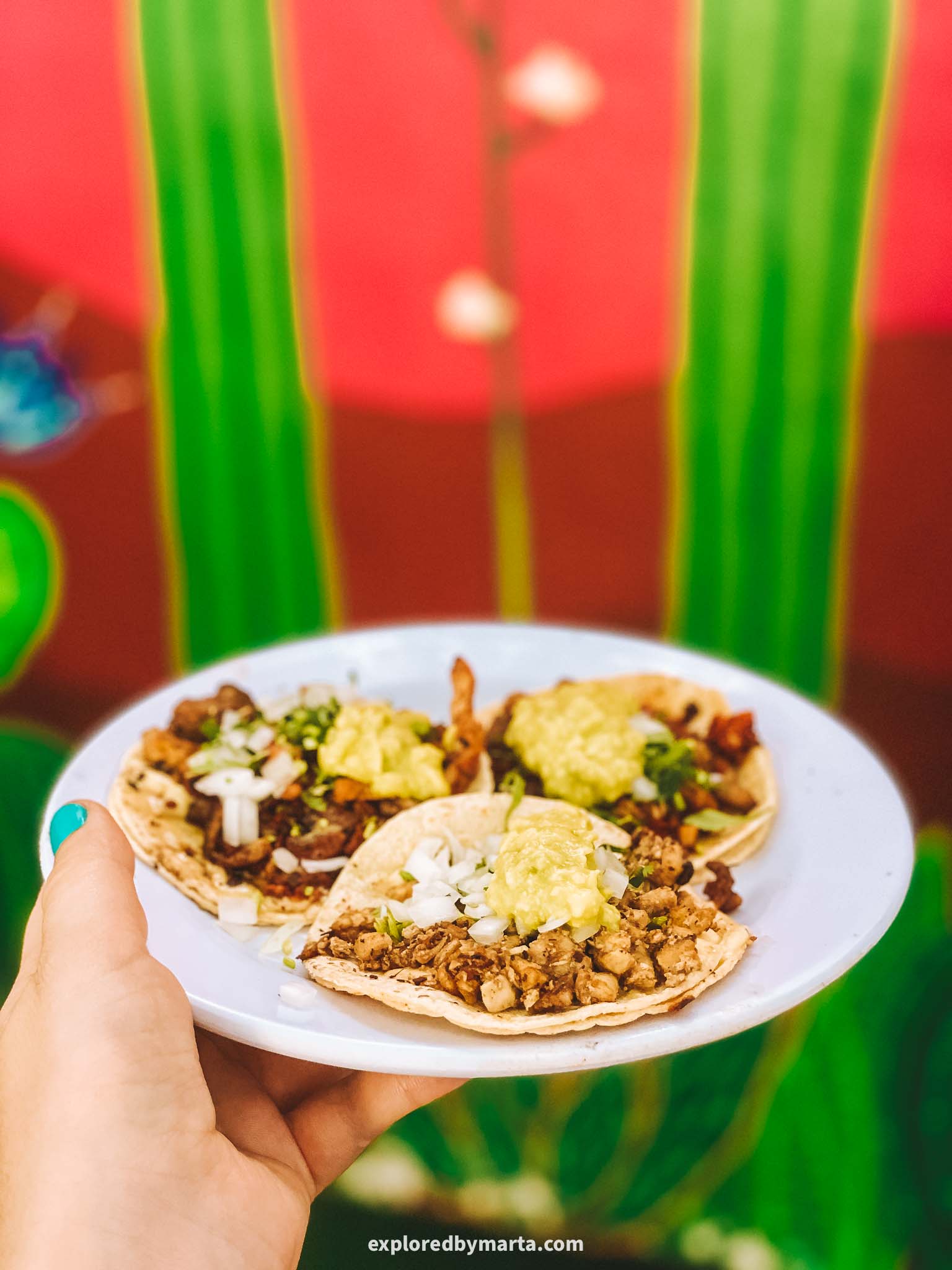Playa del Carmen, Mexico-best taco spots in Playa del Carmen