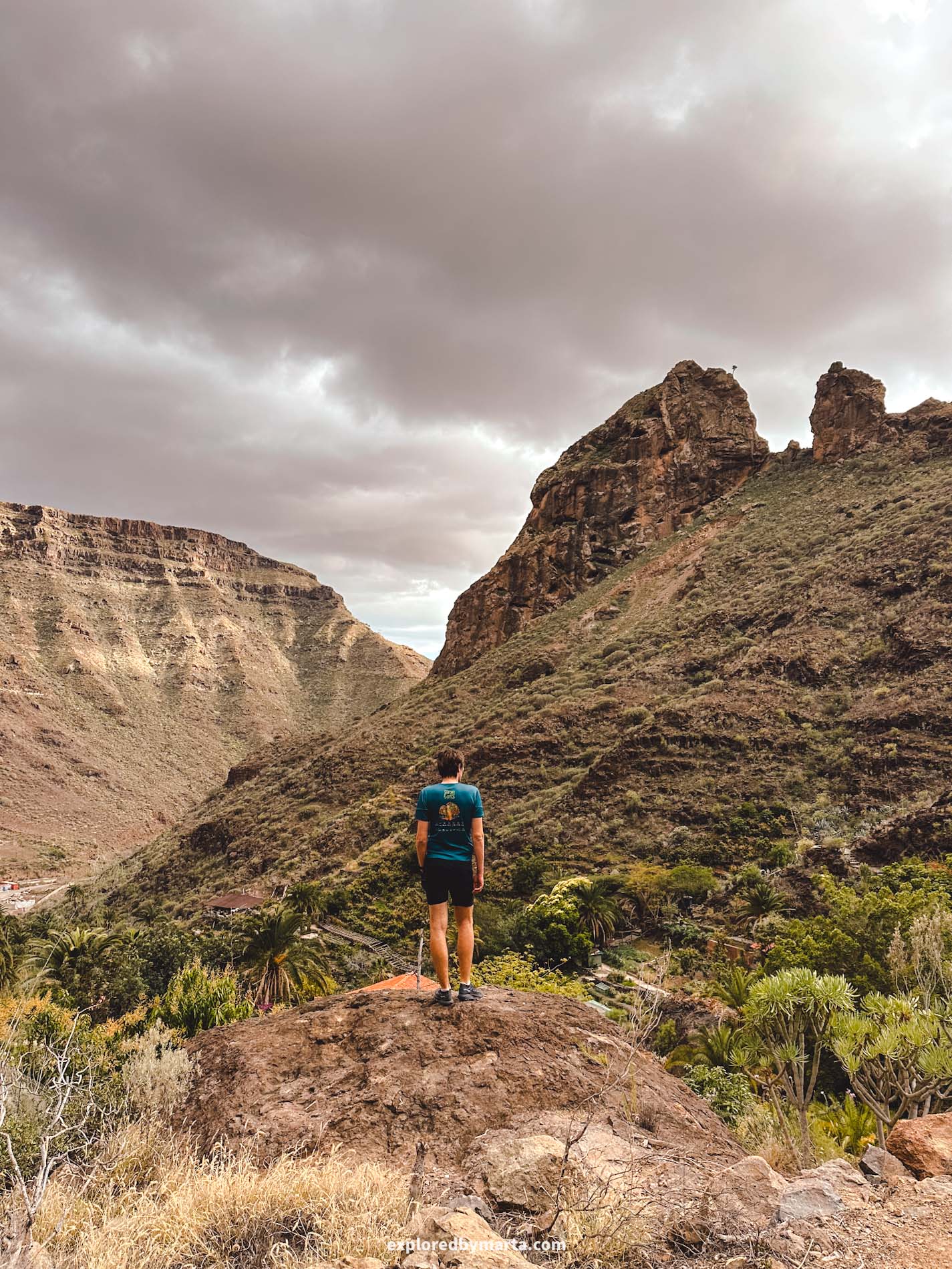 Gran Canaria, Spain-Arco del Elefante volcanic arch in shape of an elephant in Gran Canaria