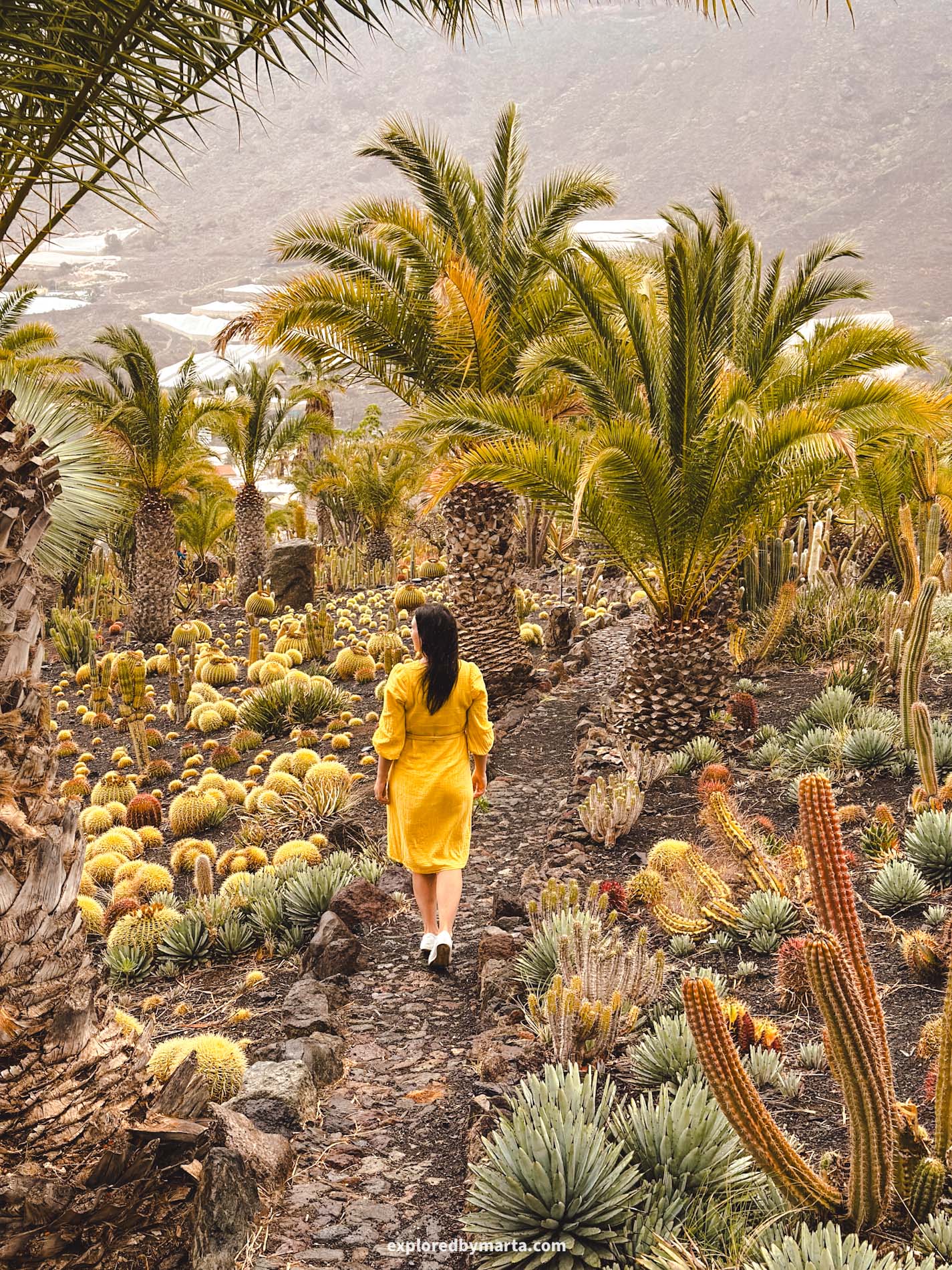 Gran Canaria, Spain-Cactualdea Park, largest cactus park in Europe