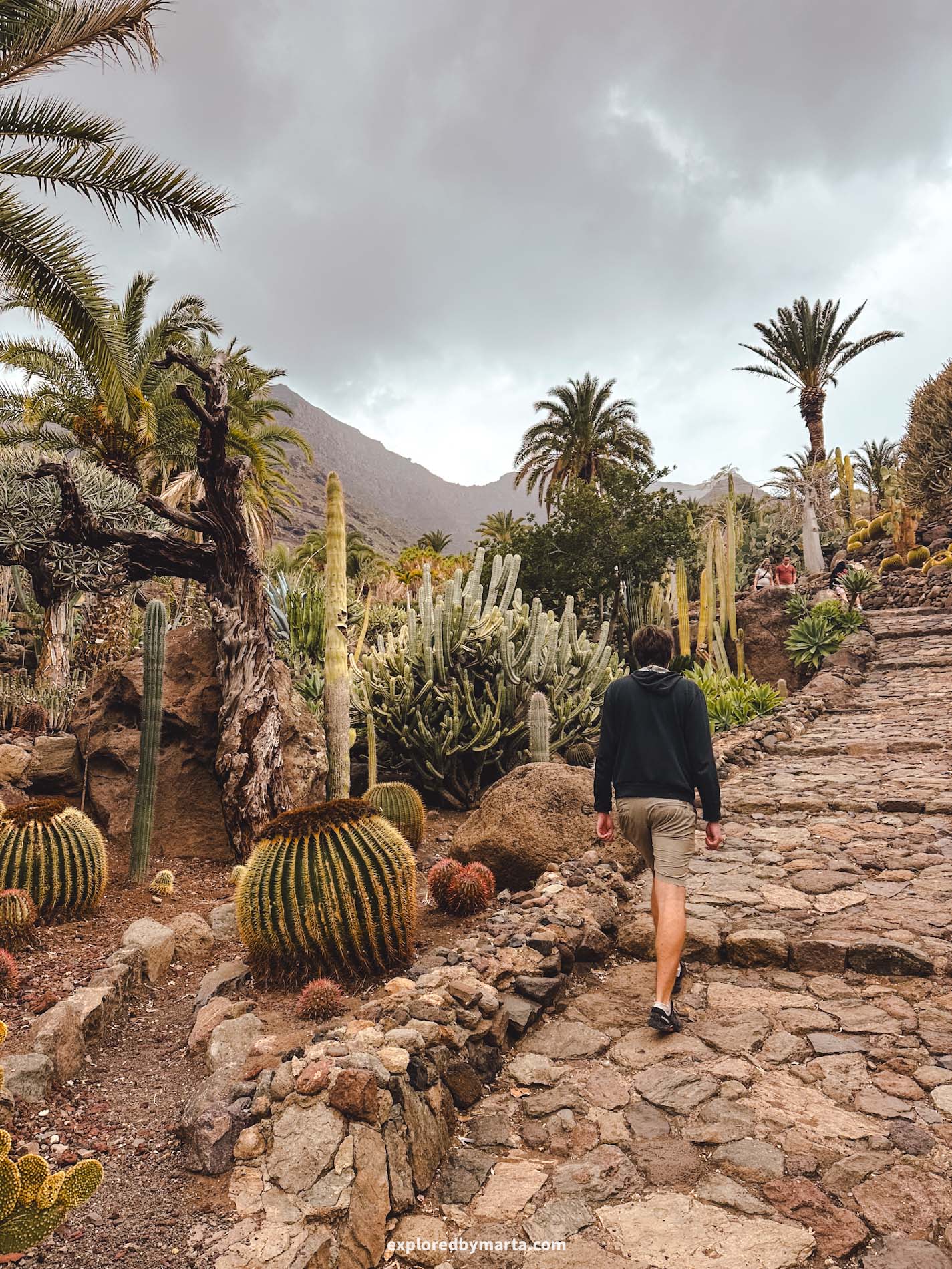 Gran Canaria, Spain-Cactualdea Park, largest cactus park in Europe