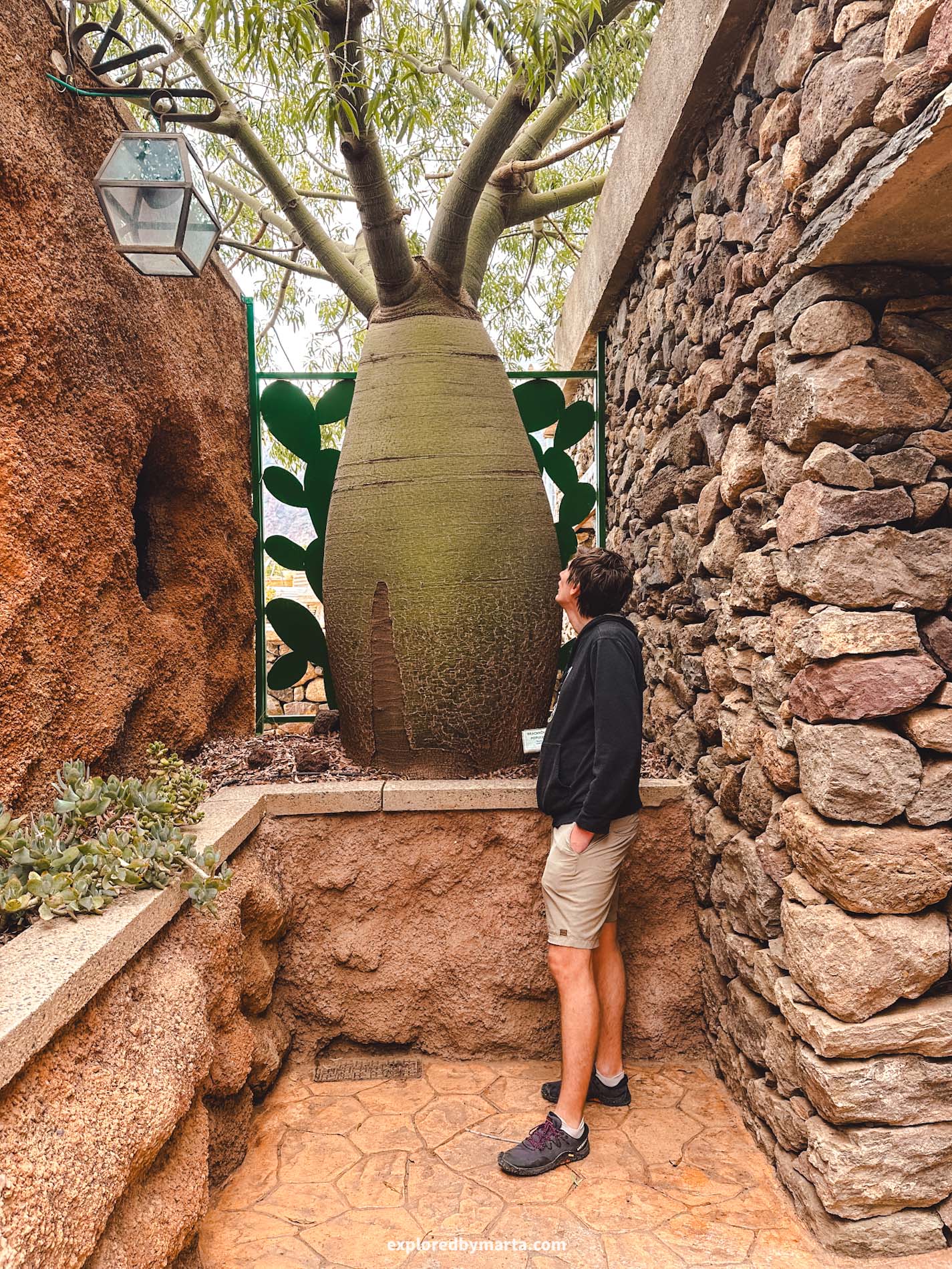 Gran Canaria, Spain-Cactualdea Park, largest cactus park in Europe
