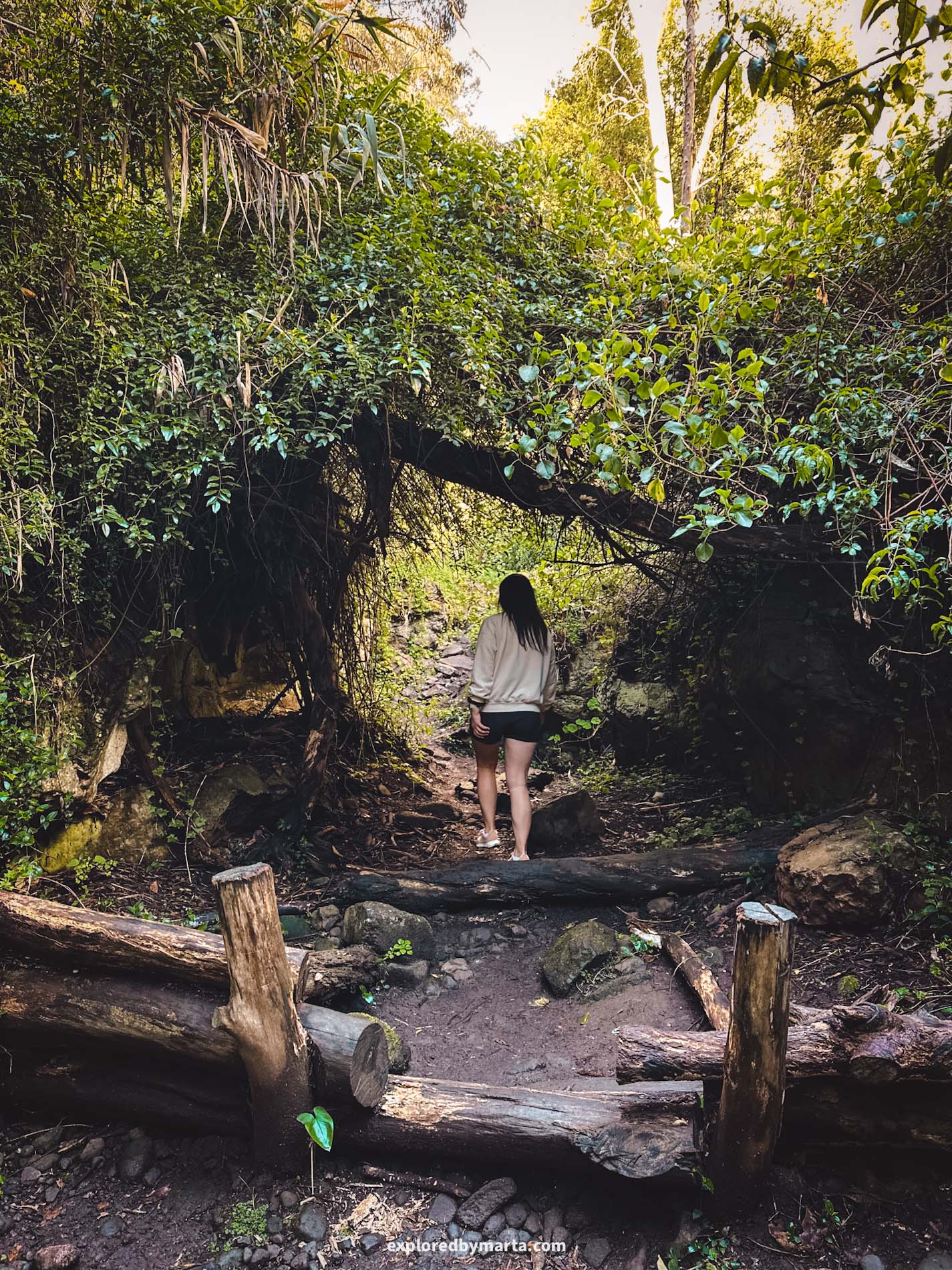 Gran Canaria, Spain-Hike through Barranco del Álamo in Gran Canaria