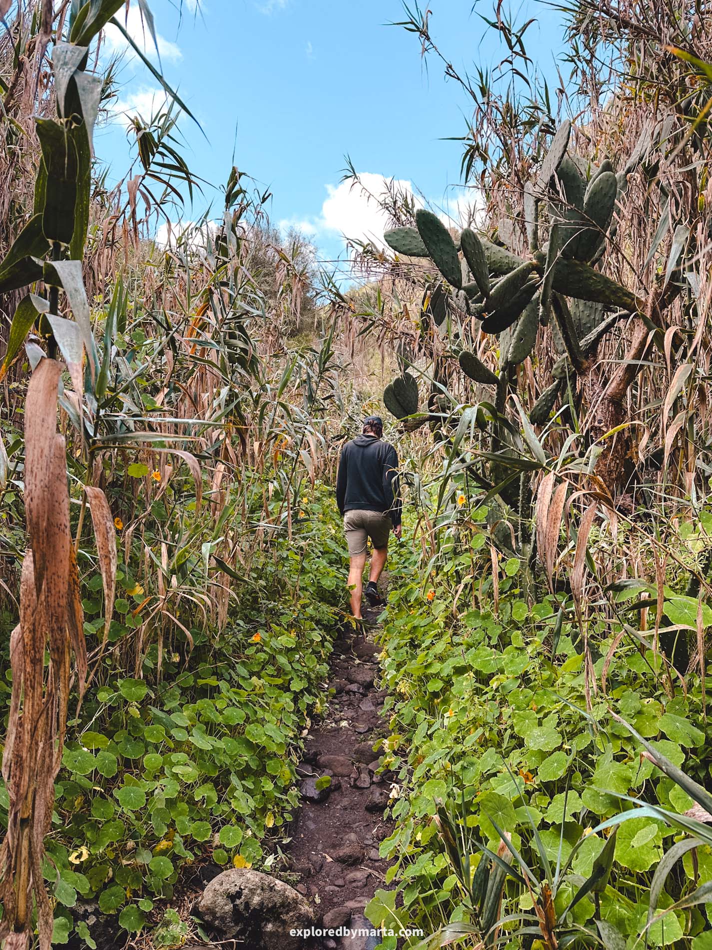 Gran Canaria, Spain-Hike through Barranco del Álamo in Gran Canaria