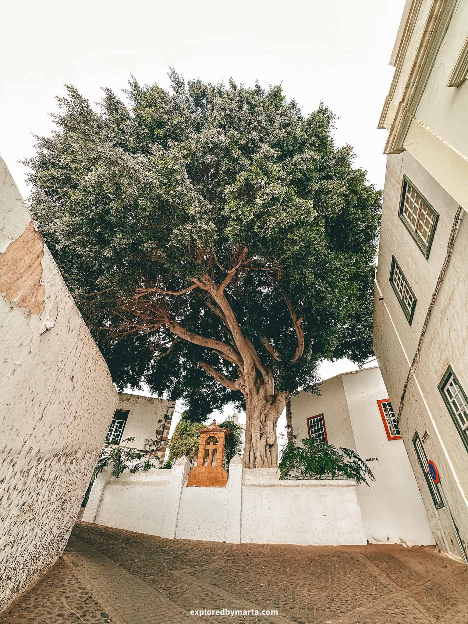 Gran Canaria, Spain-Telde town in Gran Canaria