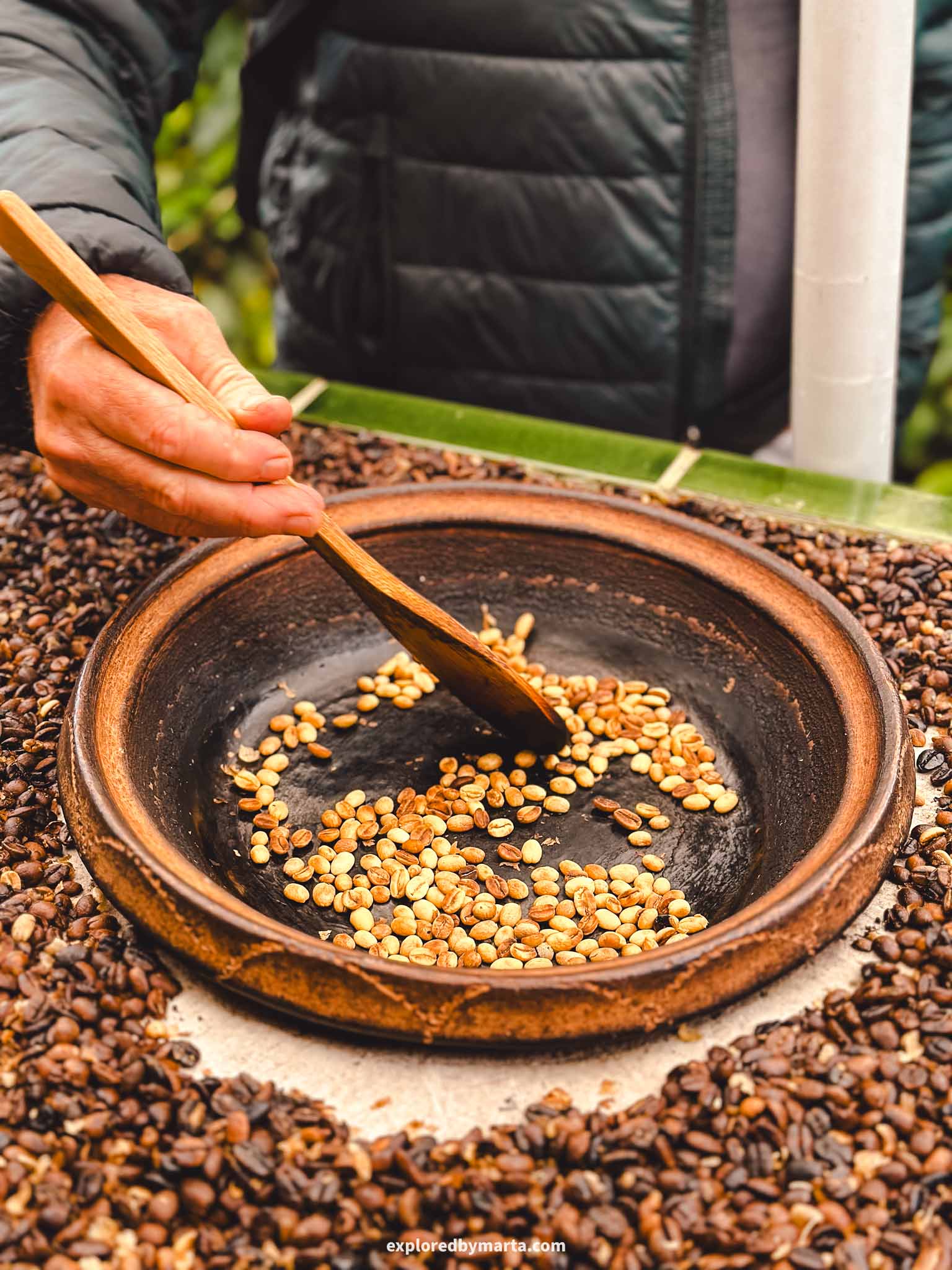 Gran Canaria, Spain-tour in a coffee plantation at Cafe Platinium in Gran Canarias Agaete Valley