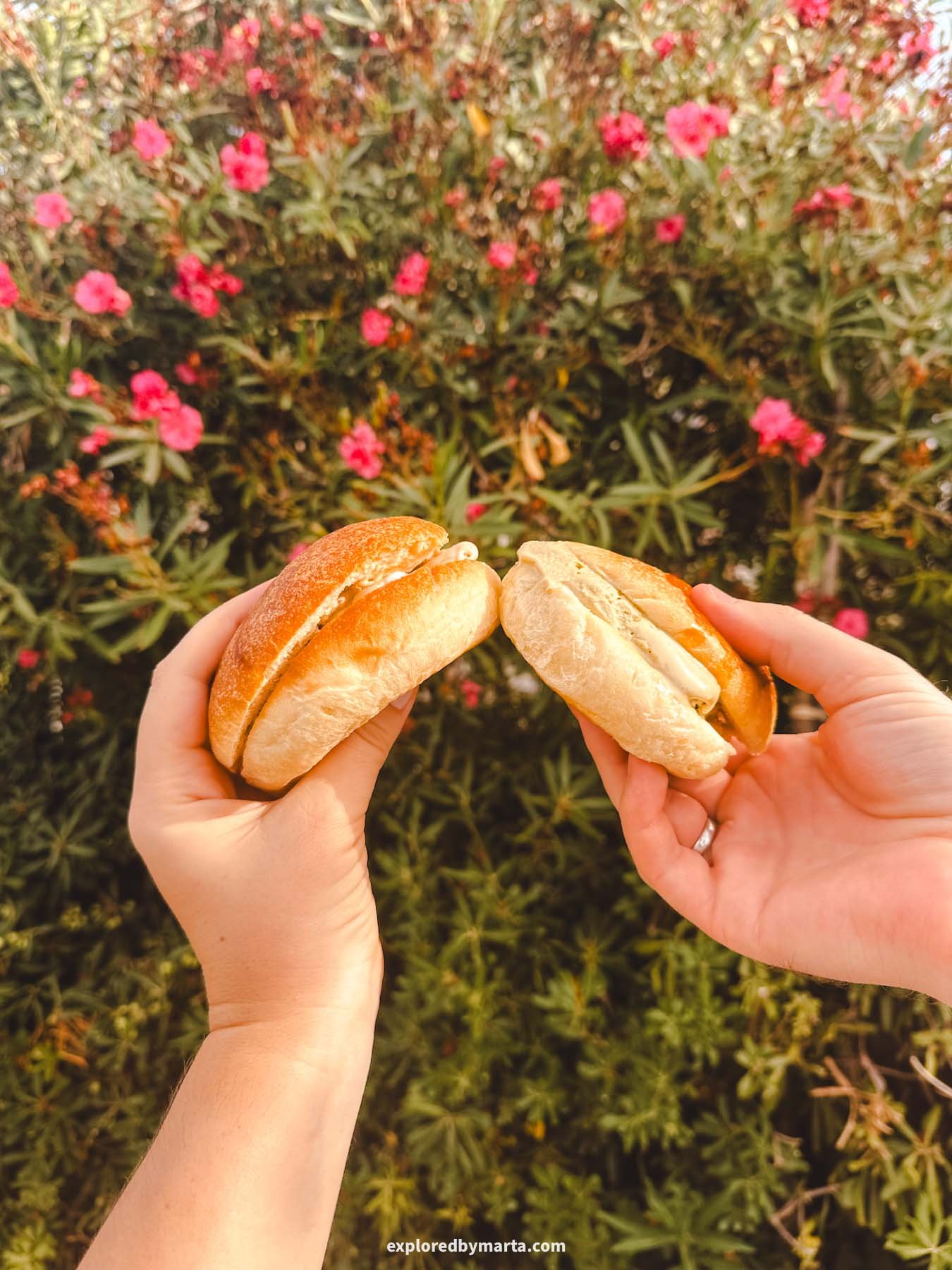 Salerno, Italy-legendary brioche gelatos at Bar Gelateria Nettuno