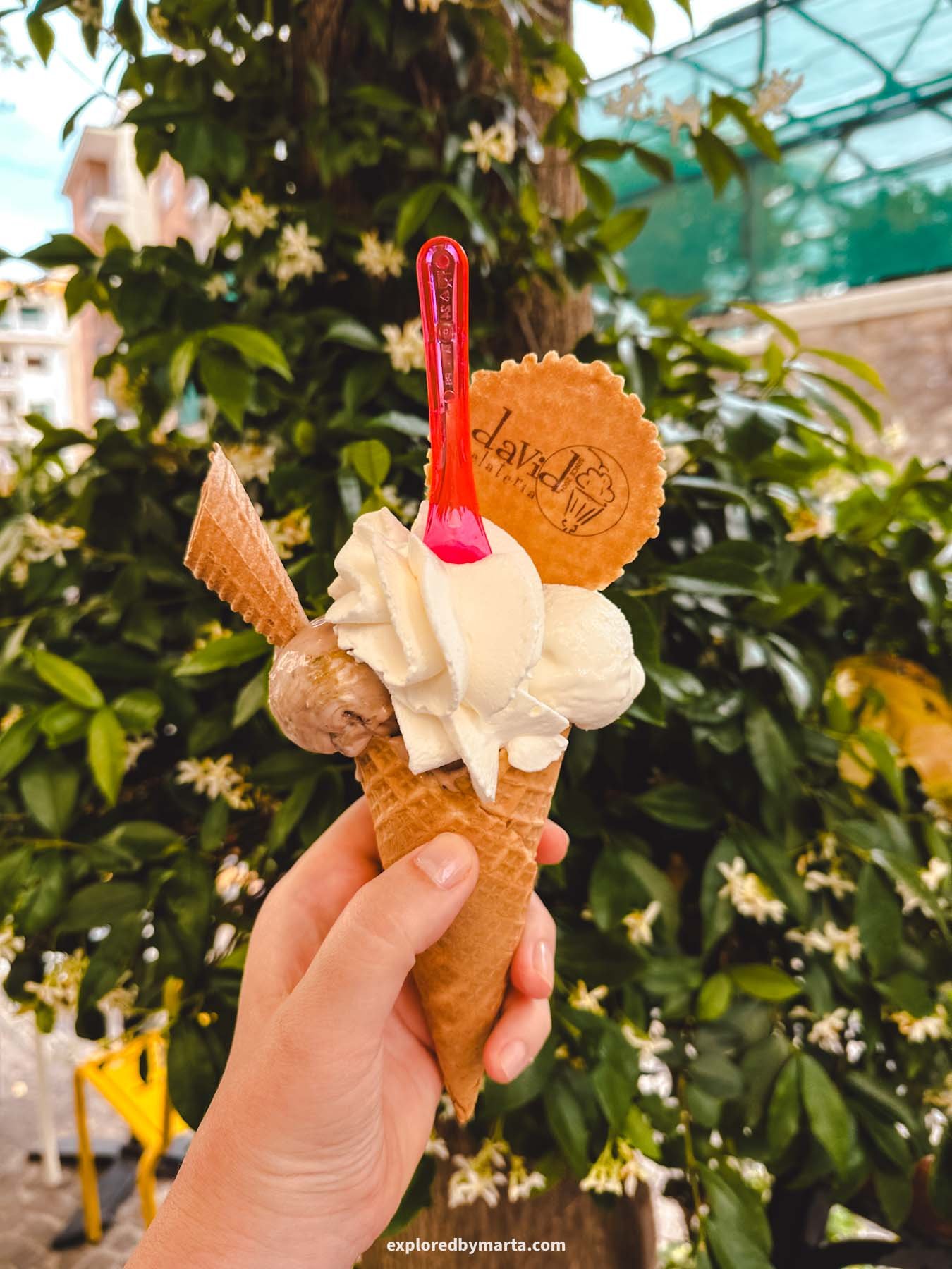 Sorrento, Italy-best gelato in Sorrento-Gelateria David