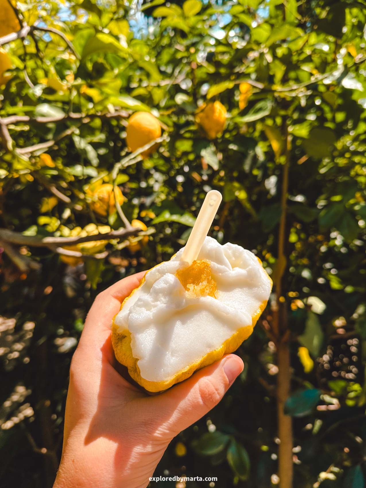 Sorrento, Italy-eating a lemon sorbet inside a lemon in Sorrentos lemon farm