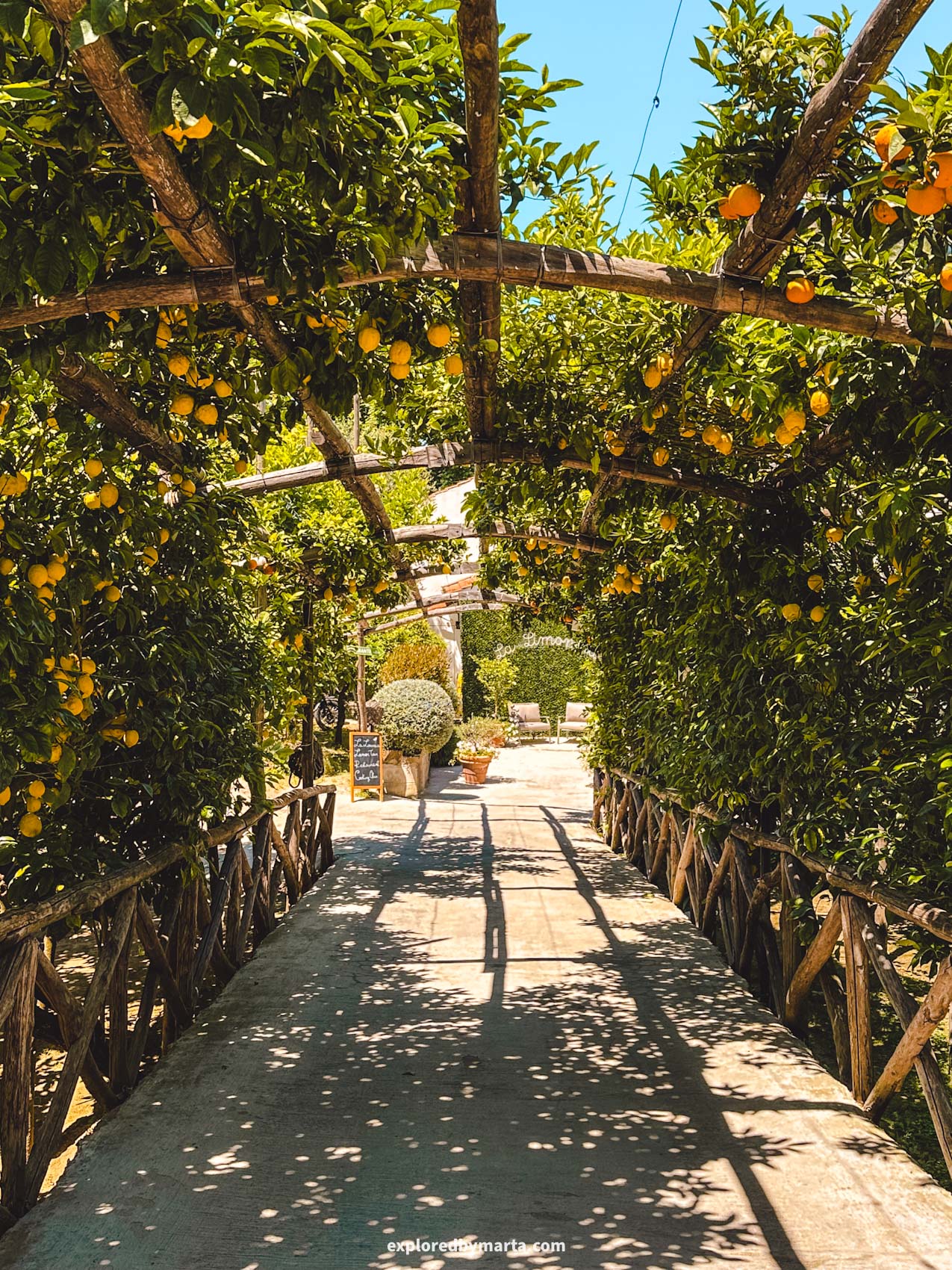 Sorrento, Italy-touring a lemon garden and visiting a cafe inside a lemon garden in Sorrento