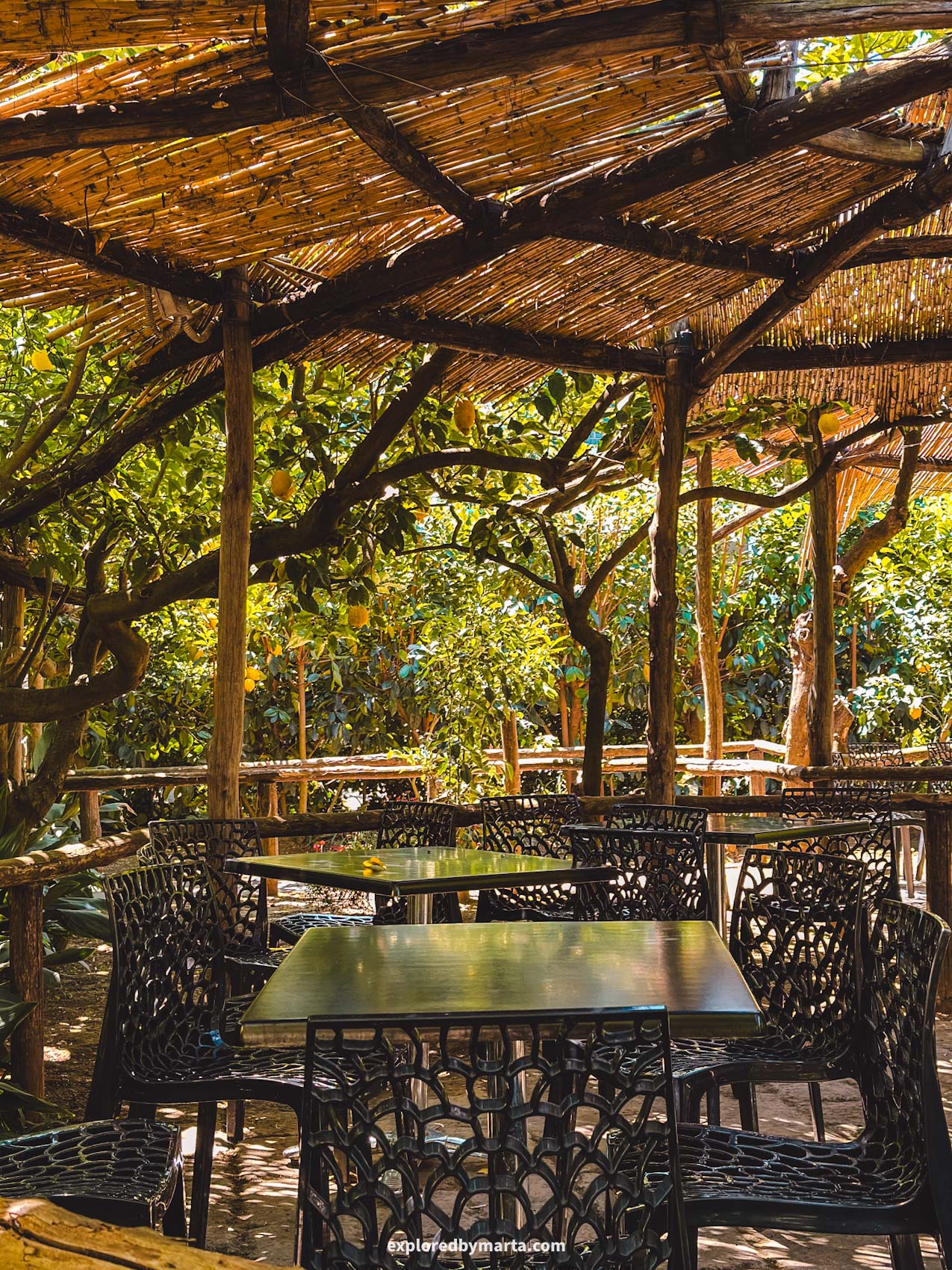 Sorrento, Italy-touring a lemon garden and visiting a cafe inside a lemon garden in Sorrento