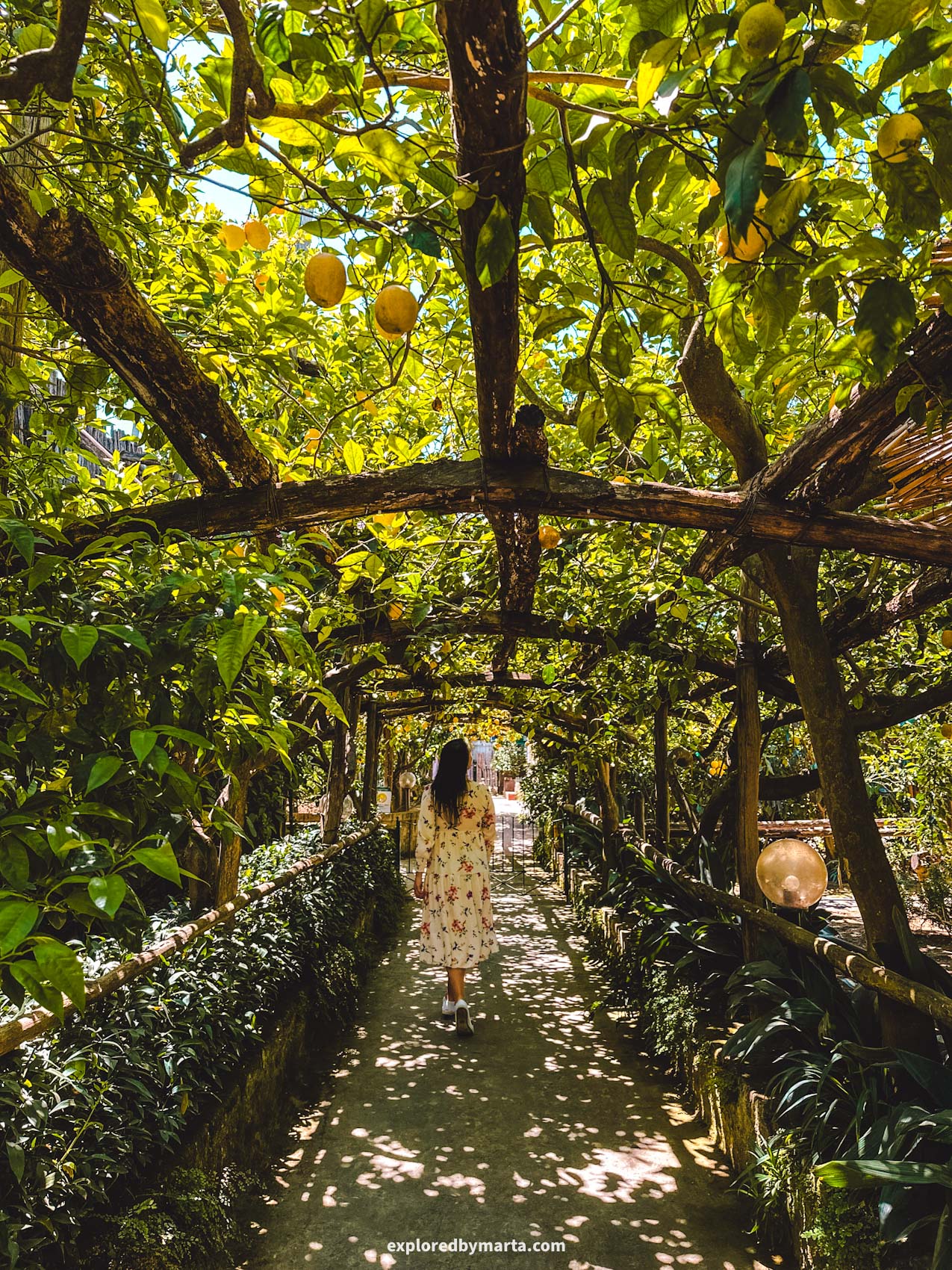 Sorrento, Italy-touring a lemon garden and visiting a cafe inside a lemon garden in Sorrento
