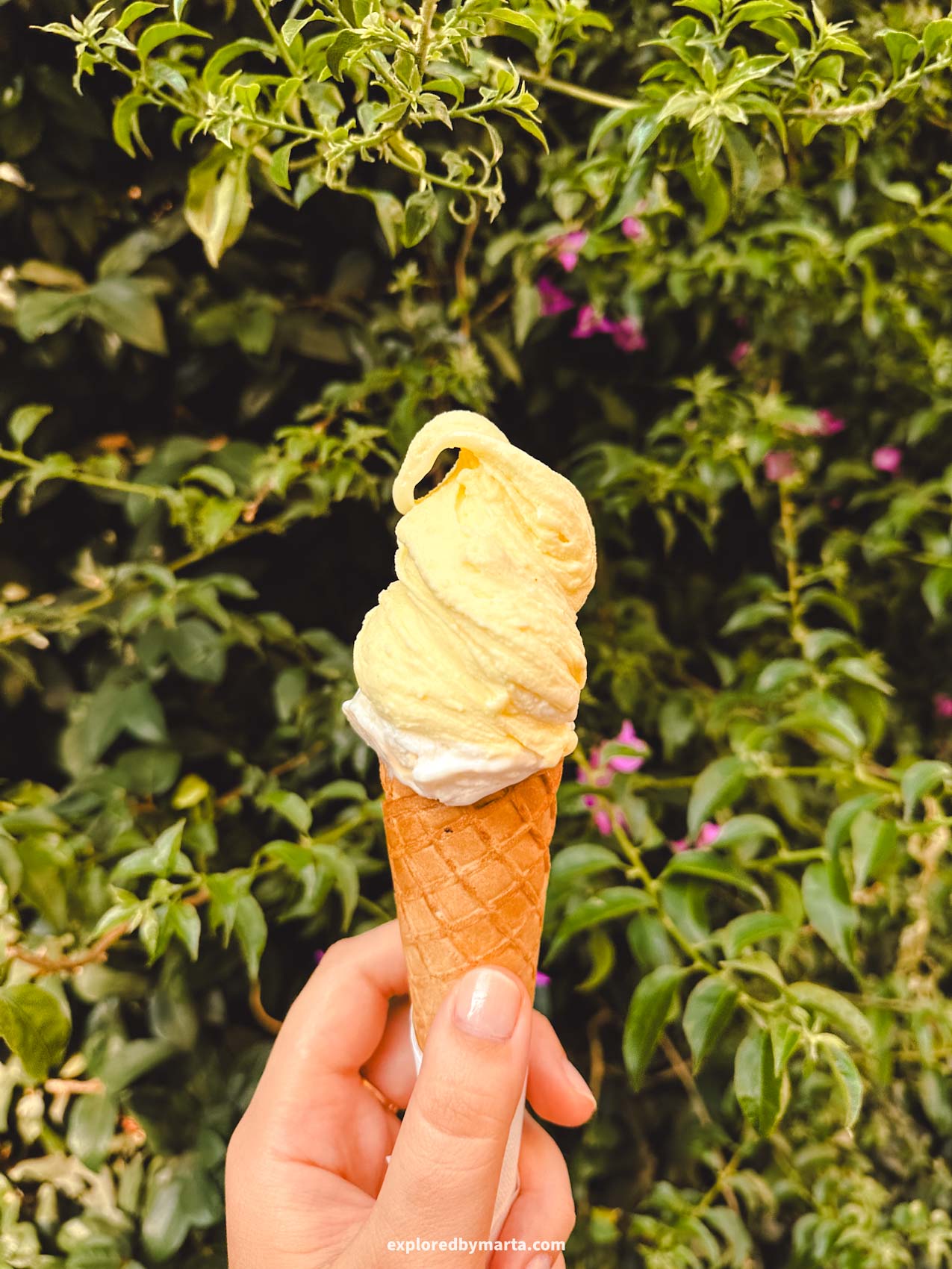 Sorrento, Italy-Raki gelateria in Sorrento
