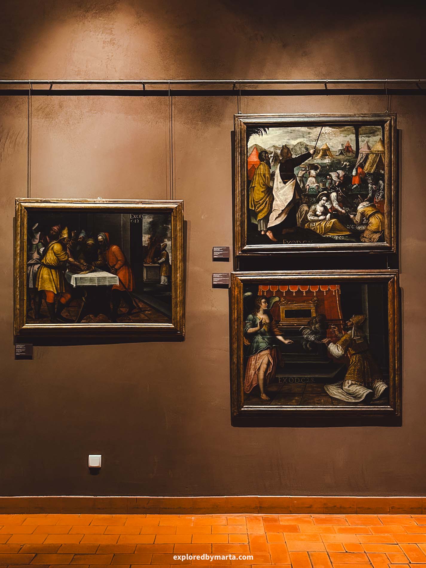 Guimaraes, Portugal-Museu de Alberto Sampaio