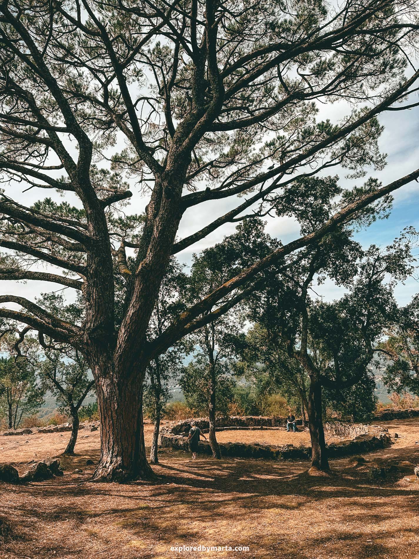 Portugal-exploring Citânia de Briteiros archaeological site