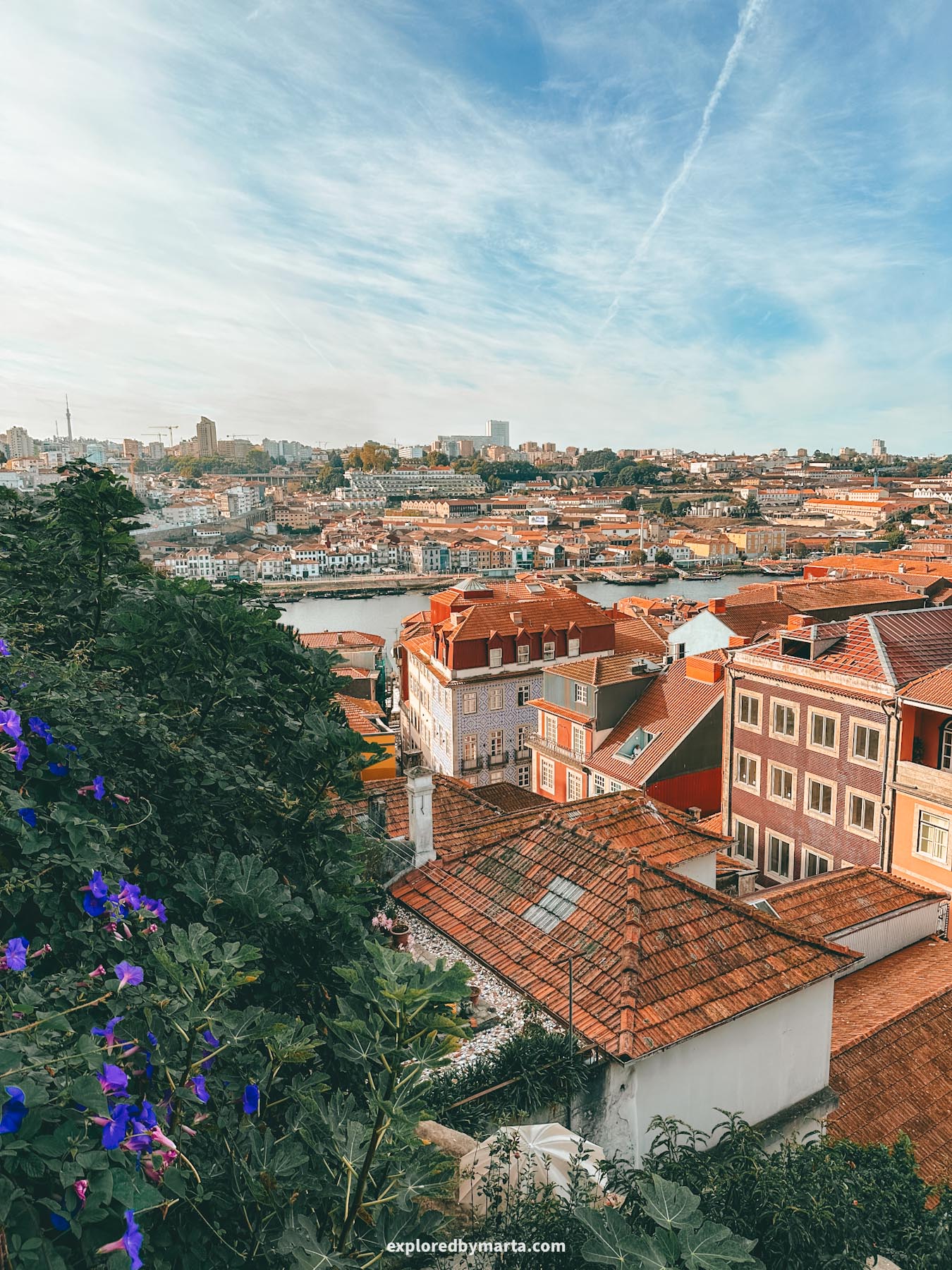 Porto, Portugal-Miradouro da Igreja de São Lourenço