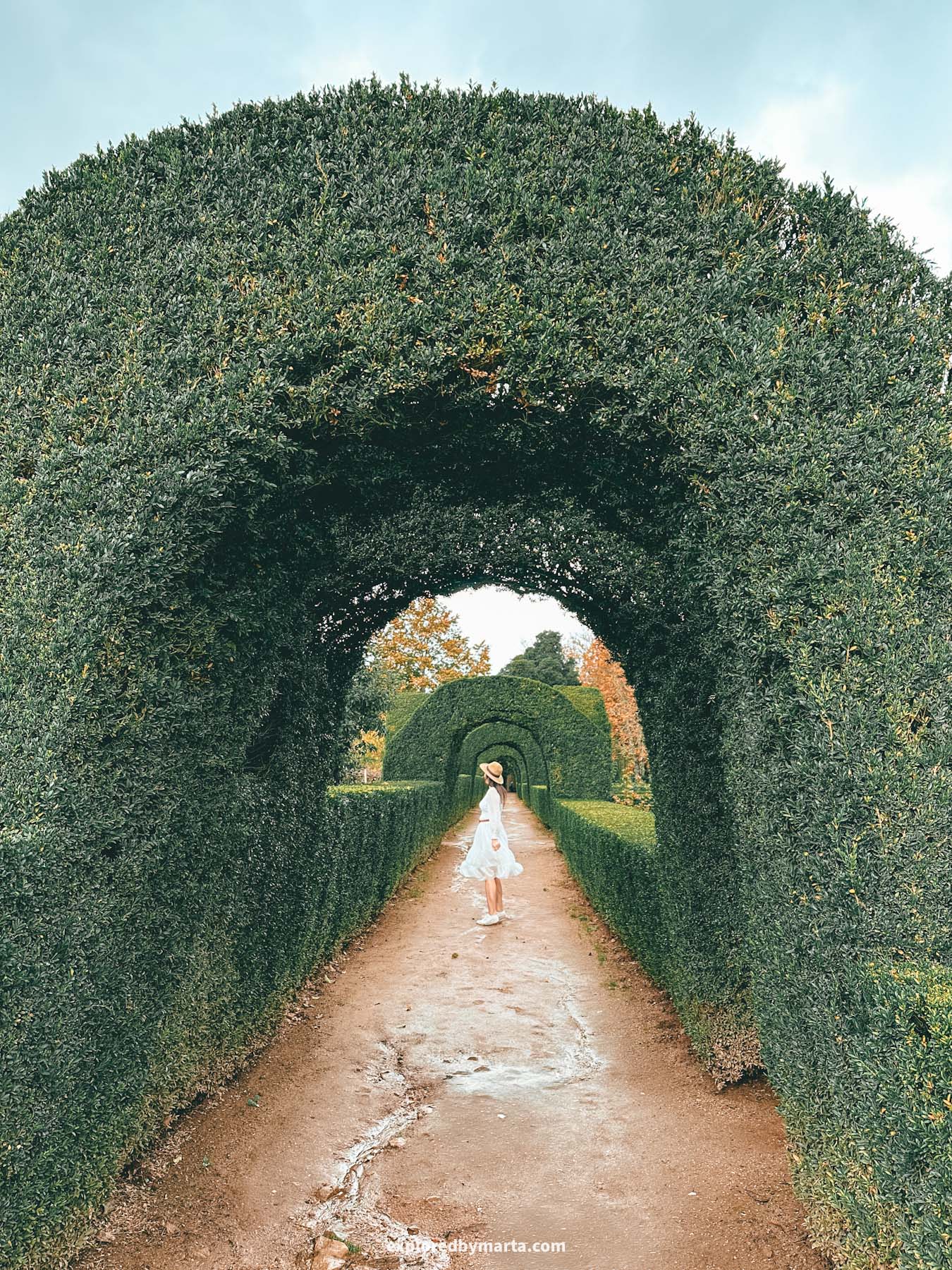 Portugal-Palacio de Mateus
