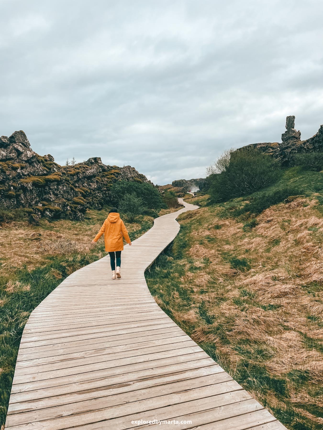 Almannagjá Canyon in Thingvellir National Park in Iceland