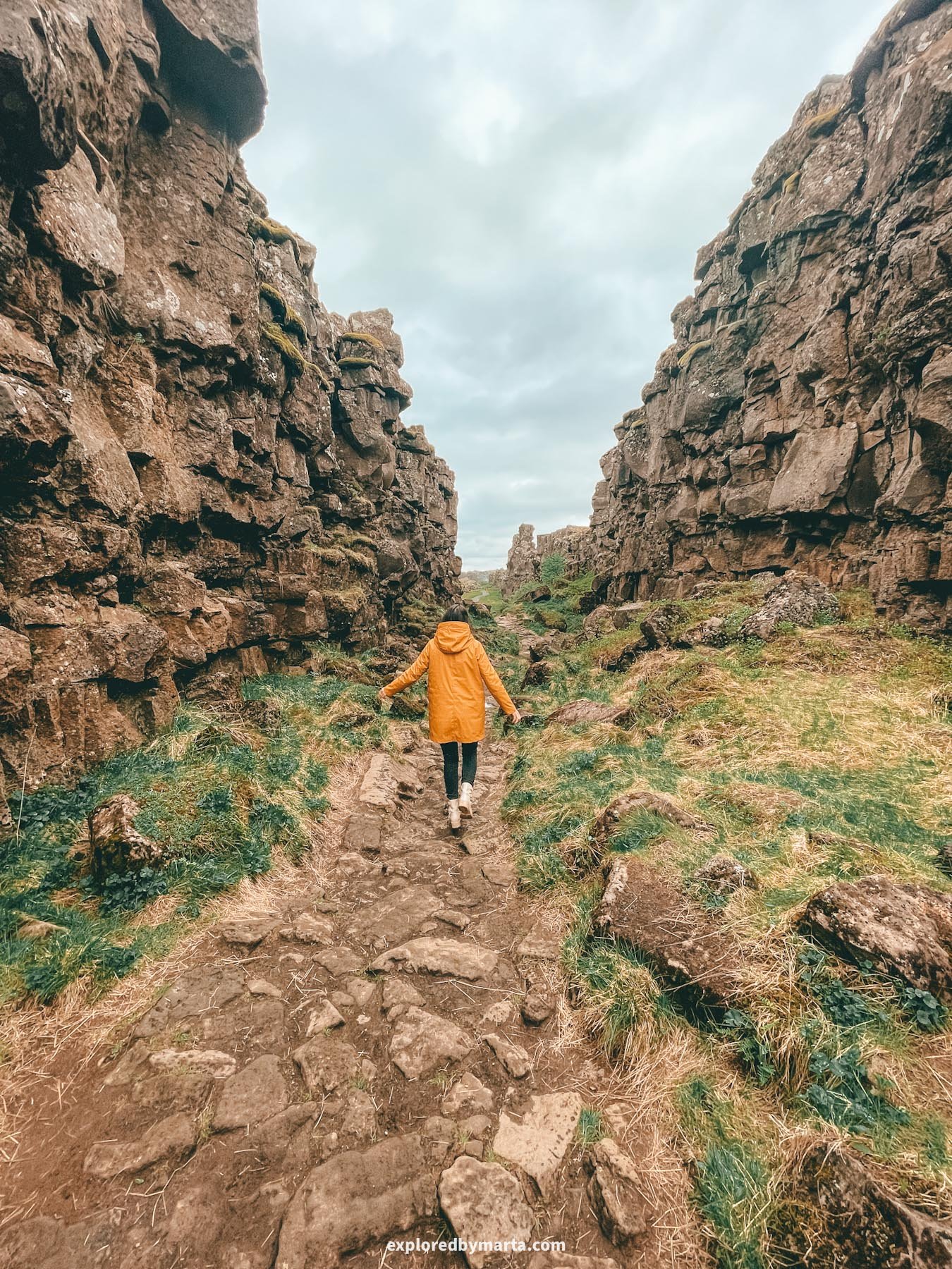 Almannagjá Canyon in Thingvellir National Park in Iceland