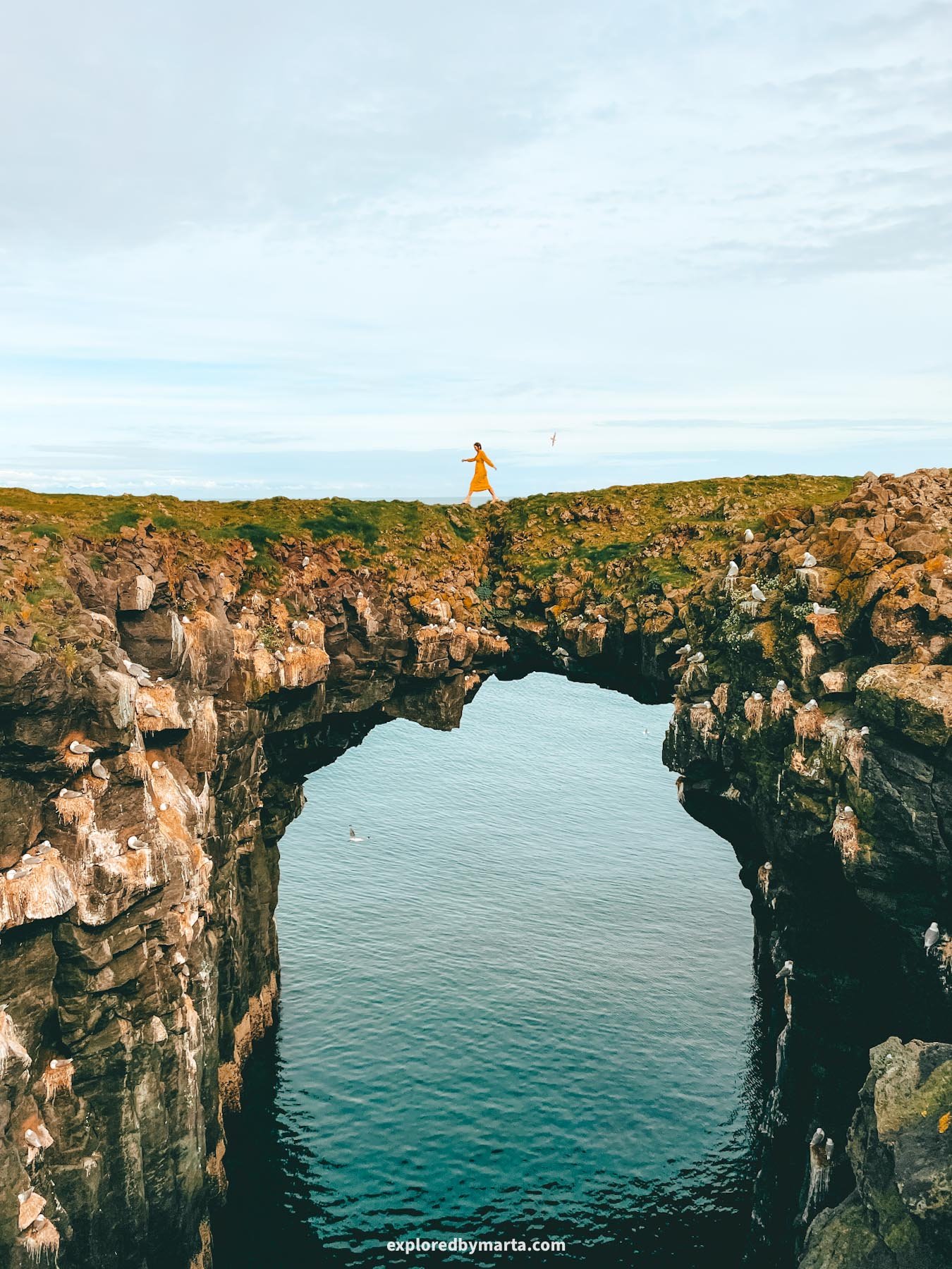 Arnarstapi Stone Bridge in Iceland is one of the most beautiful rock arches in the country