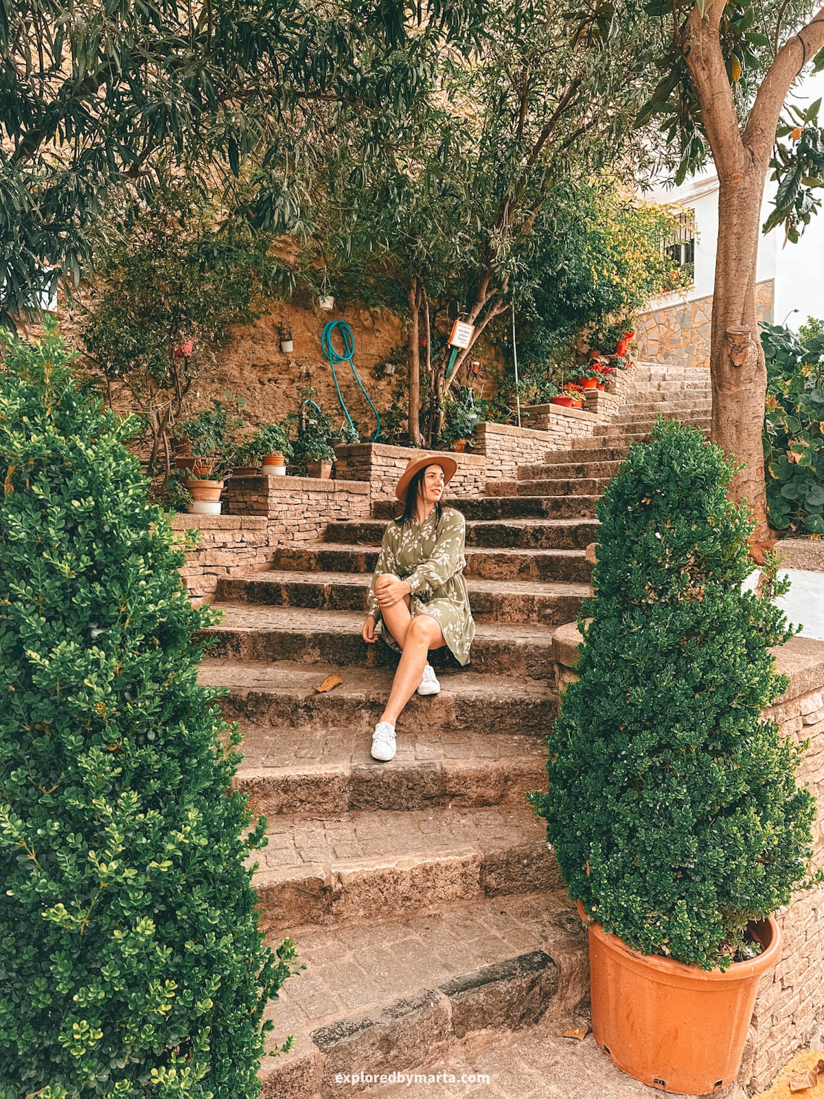 Garden near Mirador del Lizón in Setenil de las Bodegas cave village in Spain