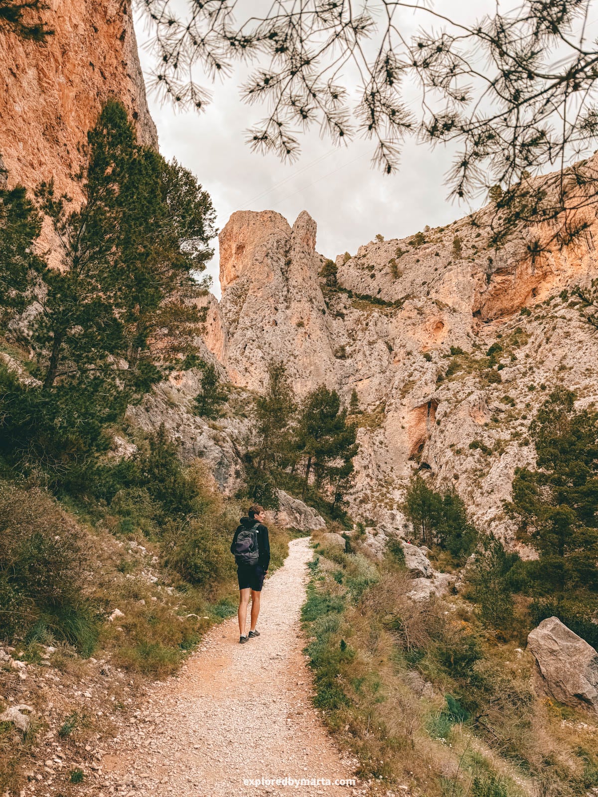Hiking Barranc del Cint and spotting vultures in Serra de Mariola Natural Park in Valencia Region, Spain