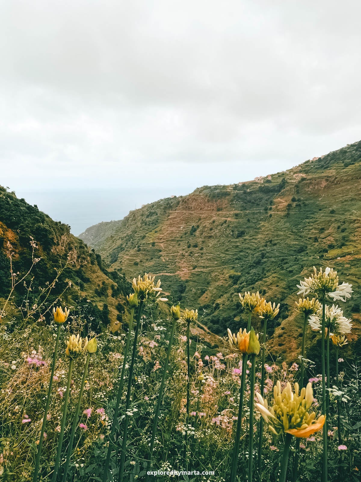 Hiking Levada Nova-Levada do Moinho in Madeira, Portugal