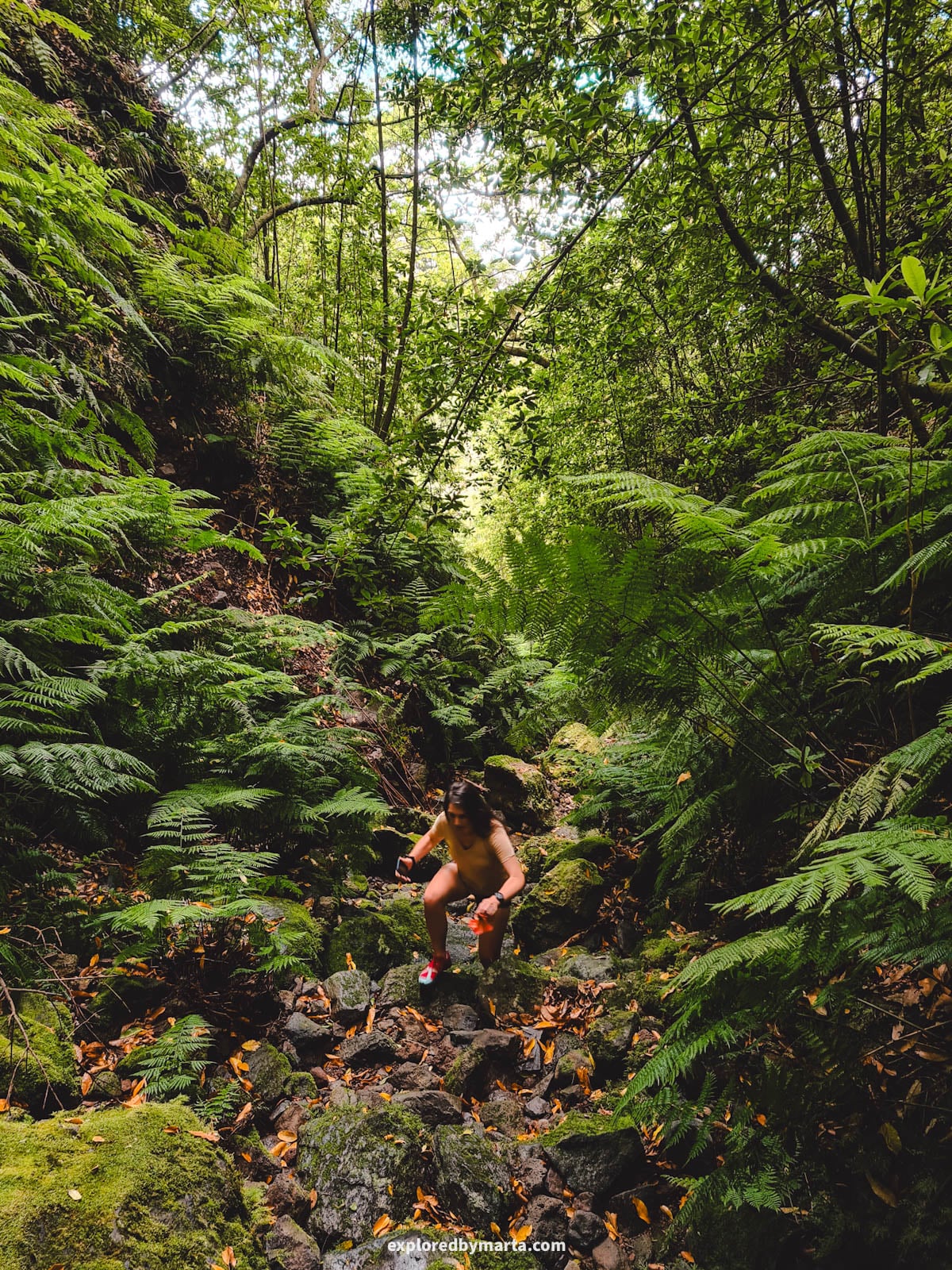 Hiking Poço das Pulgas waterfall hike in Madeira, Portugal